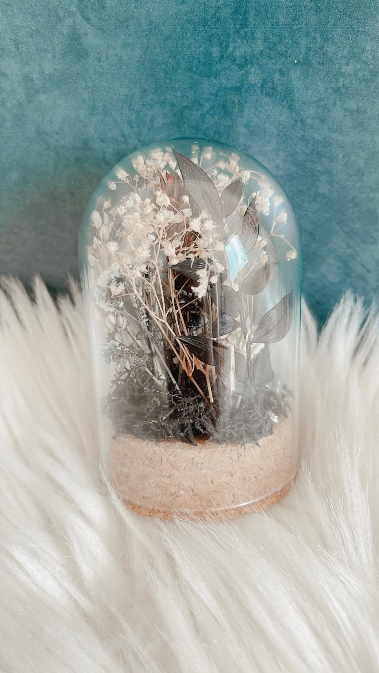 Ethel Terrarium