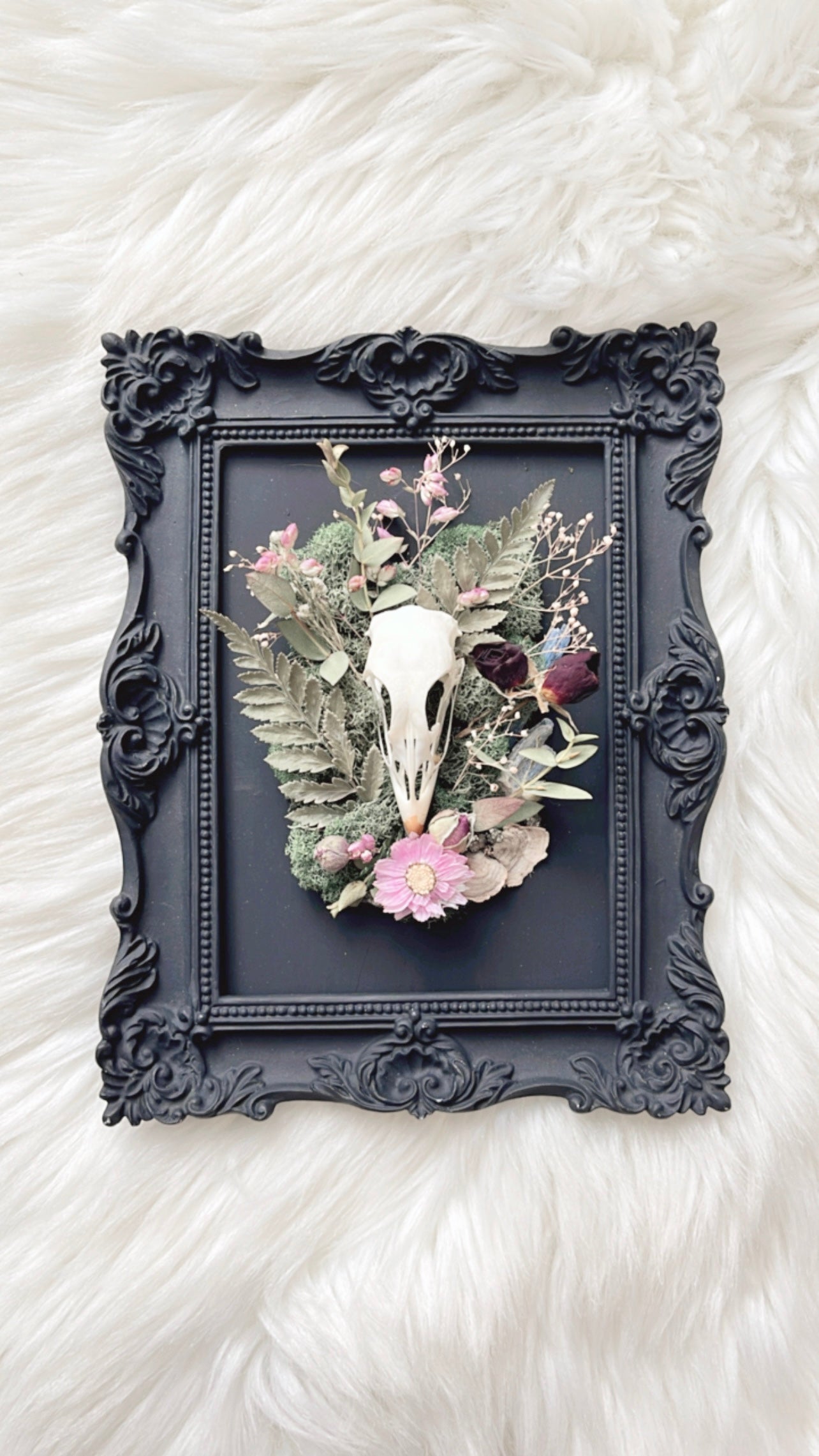 Evelina Oddities Frame <Grouse Skull>