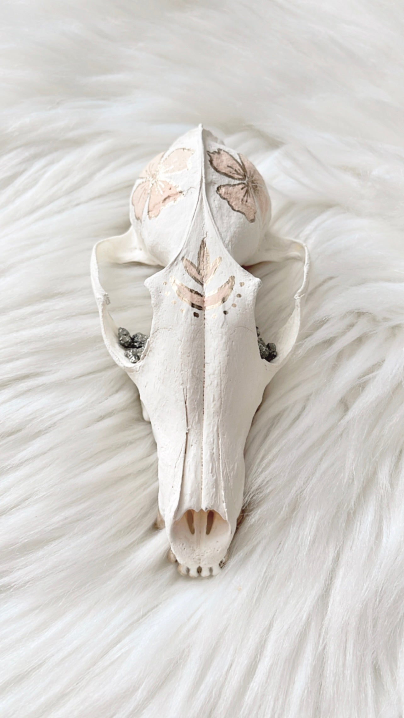 ❋ August 30, 2025 ❋ 11:15a - Fox Skull Painting Workshop