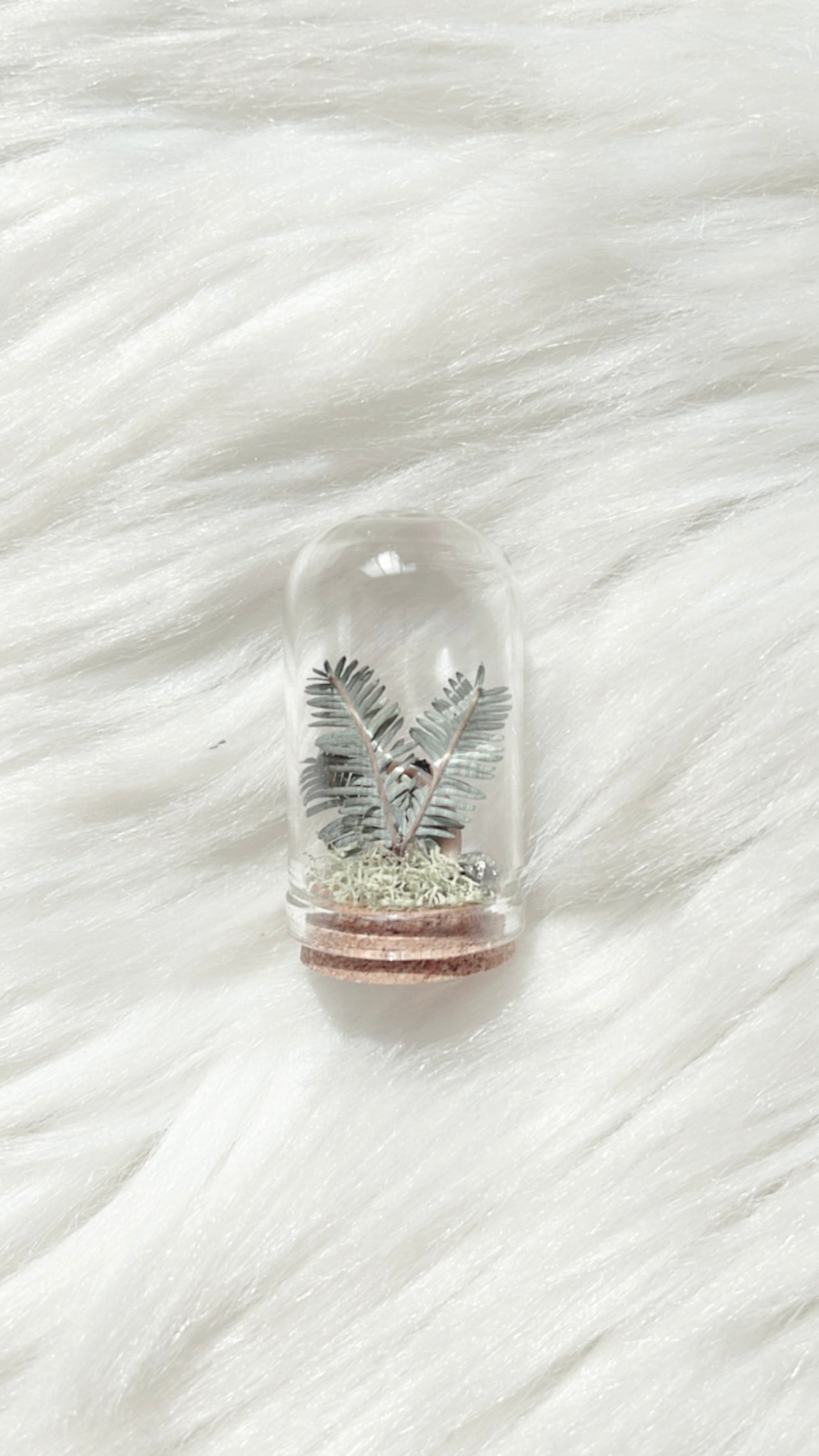 Fauna Terrarium