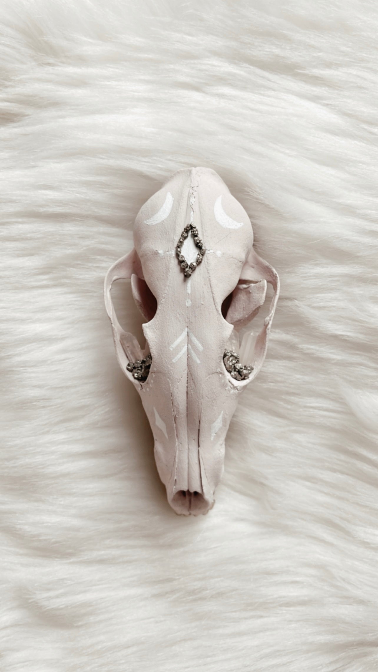 Felix Fox Skull