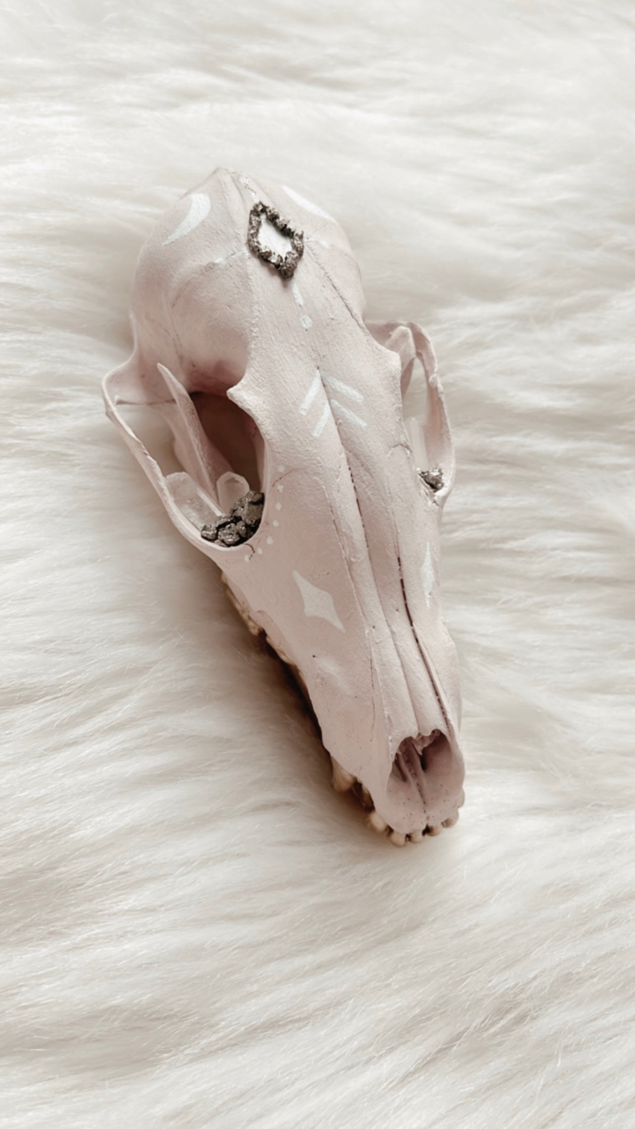 Felix Fox Skull