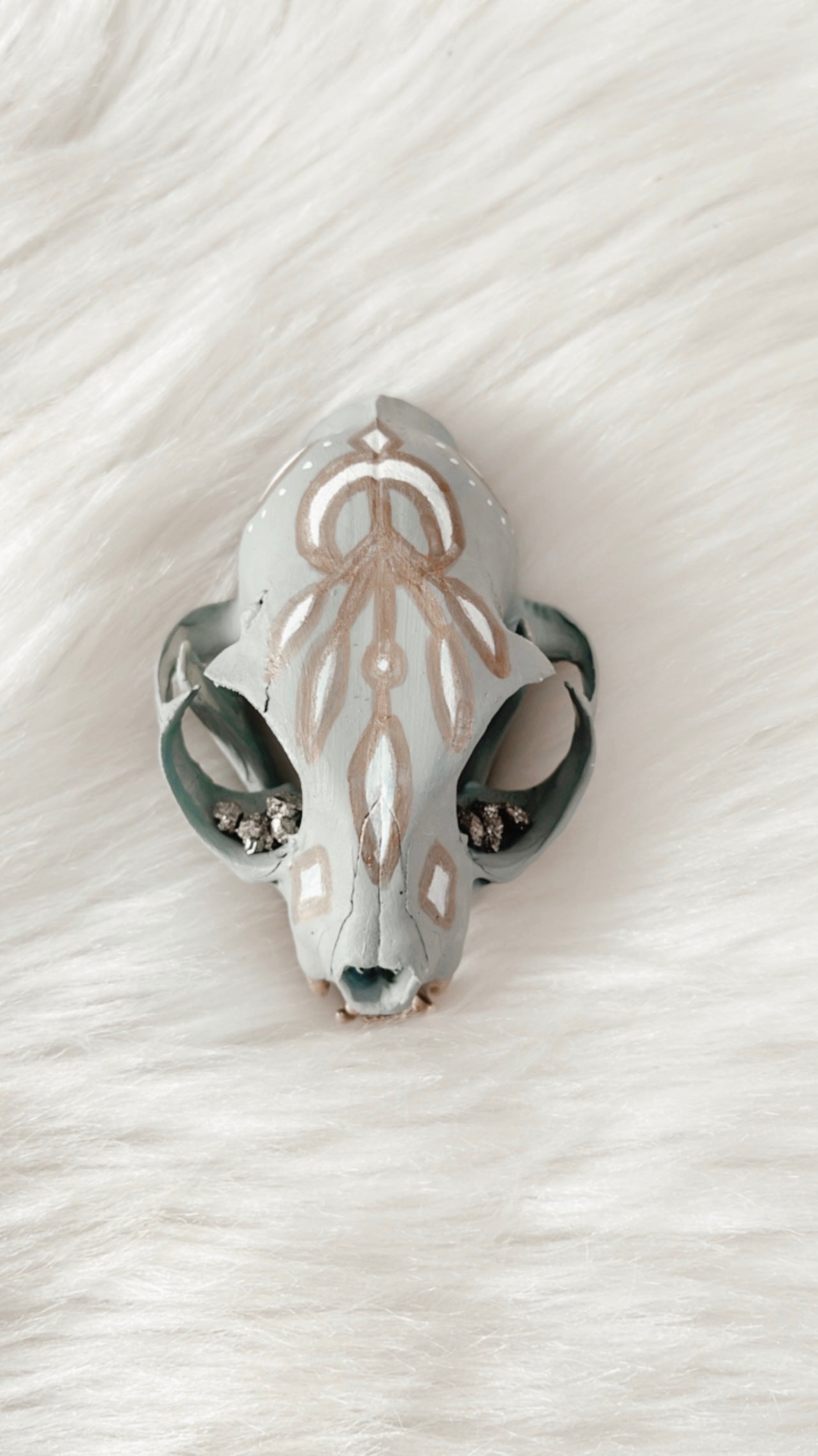 Felix Cat Skull
