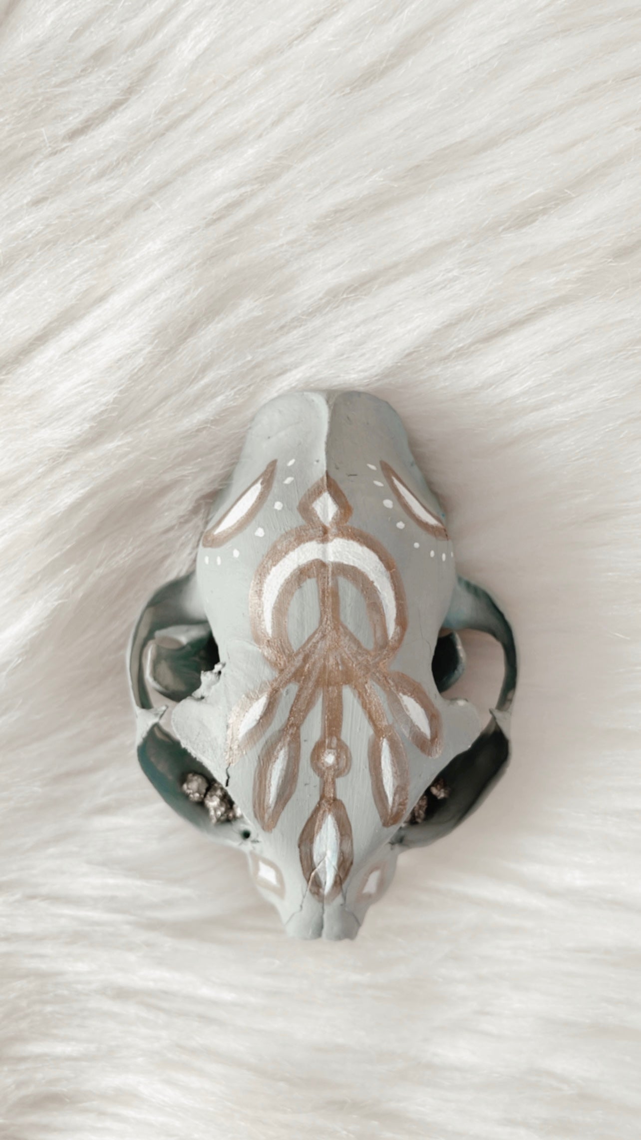 Felix Cat Skull