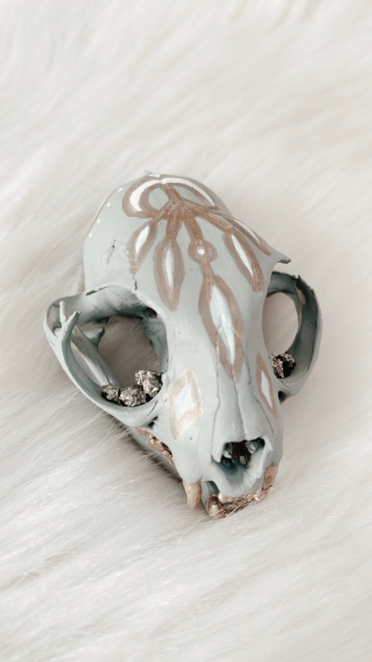 Felix Cat Skull