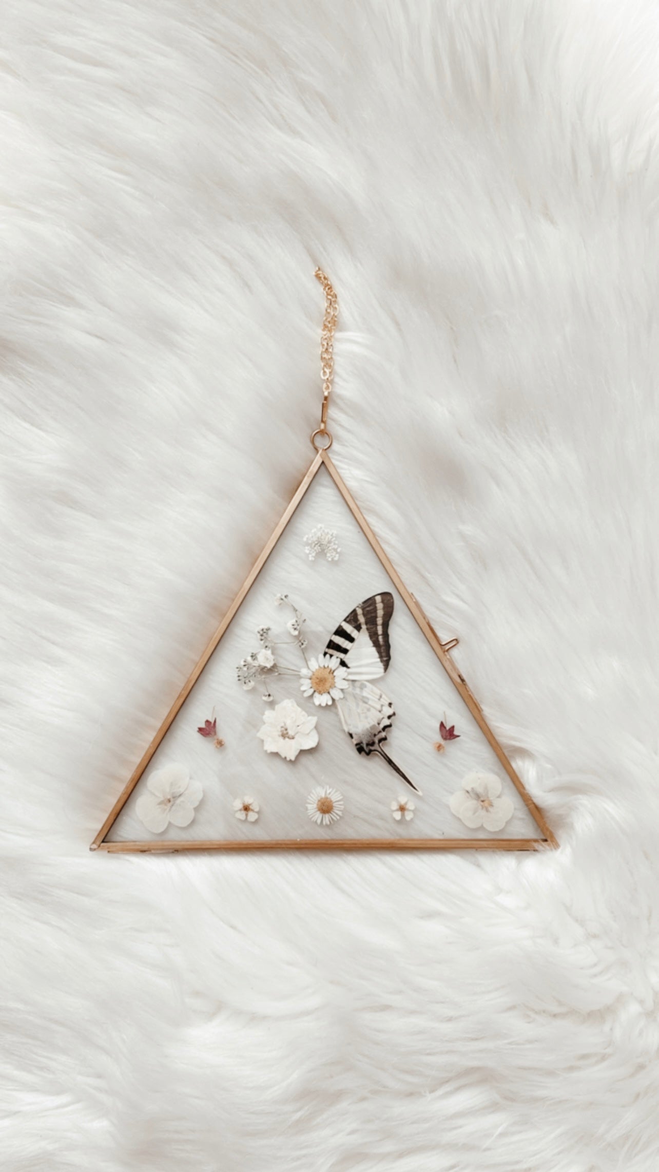 Florence Butterfly Floral Frame