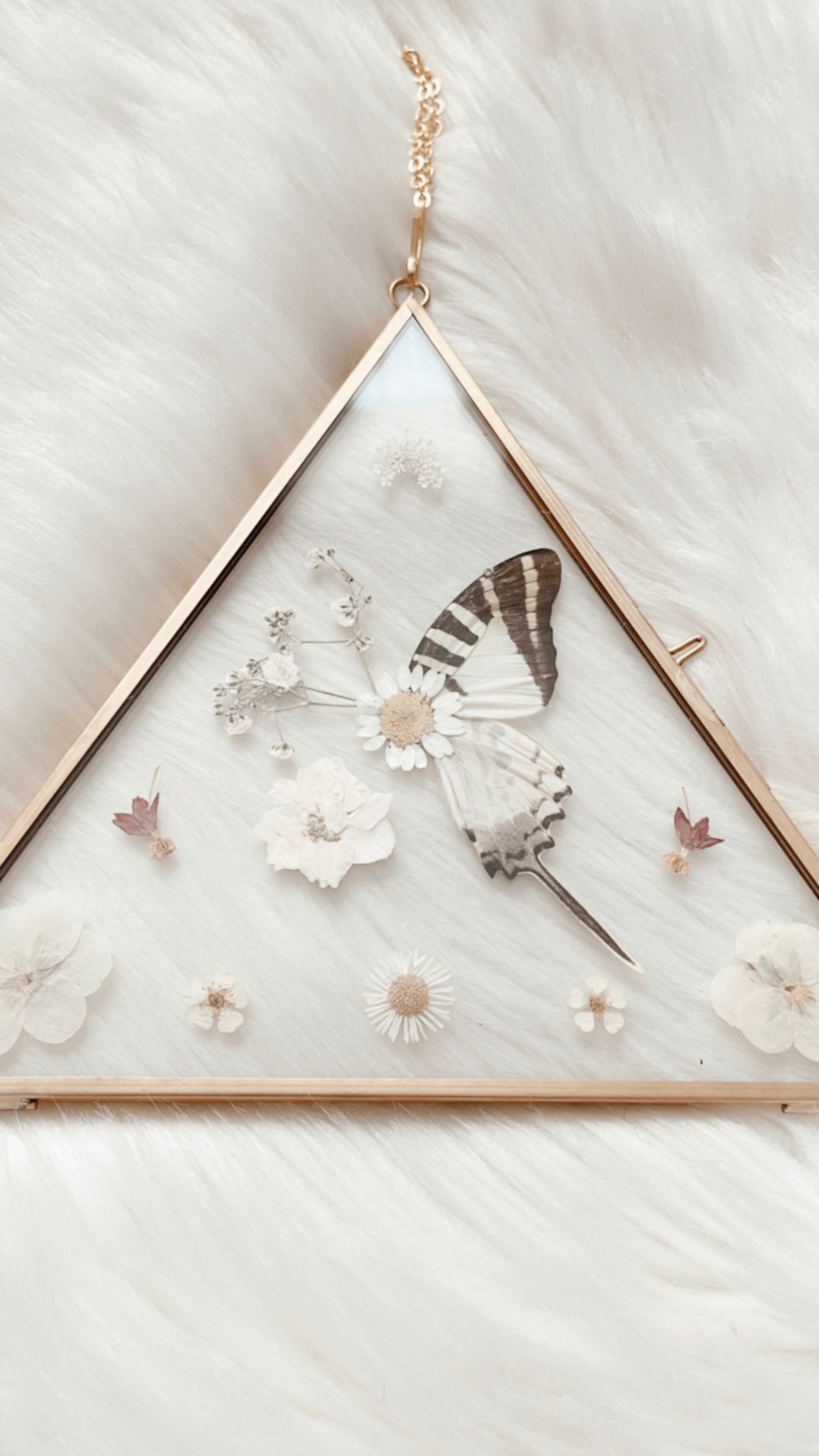 Florence Butterfly Floral Frame