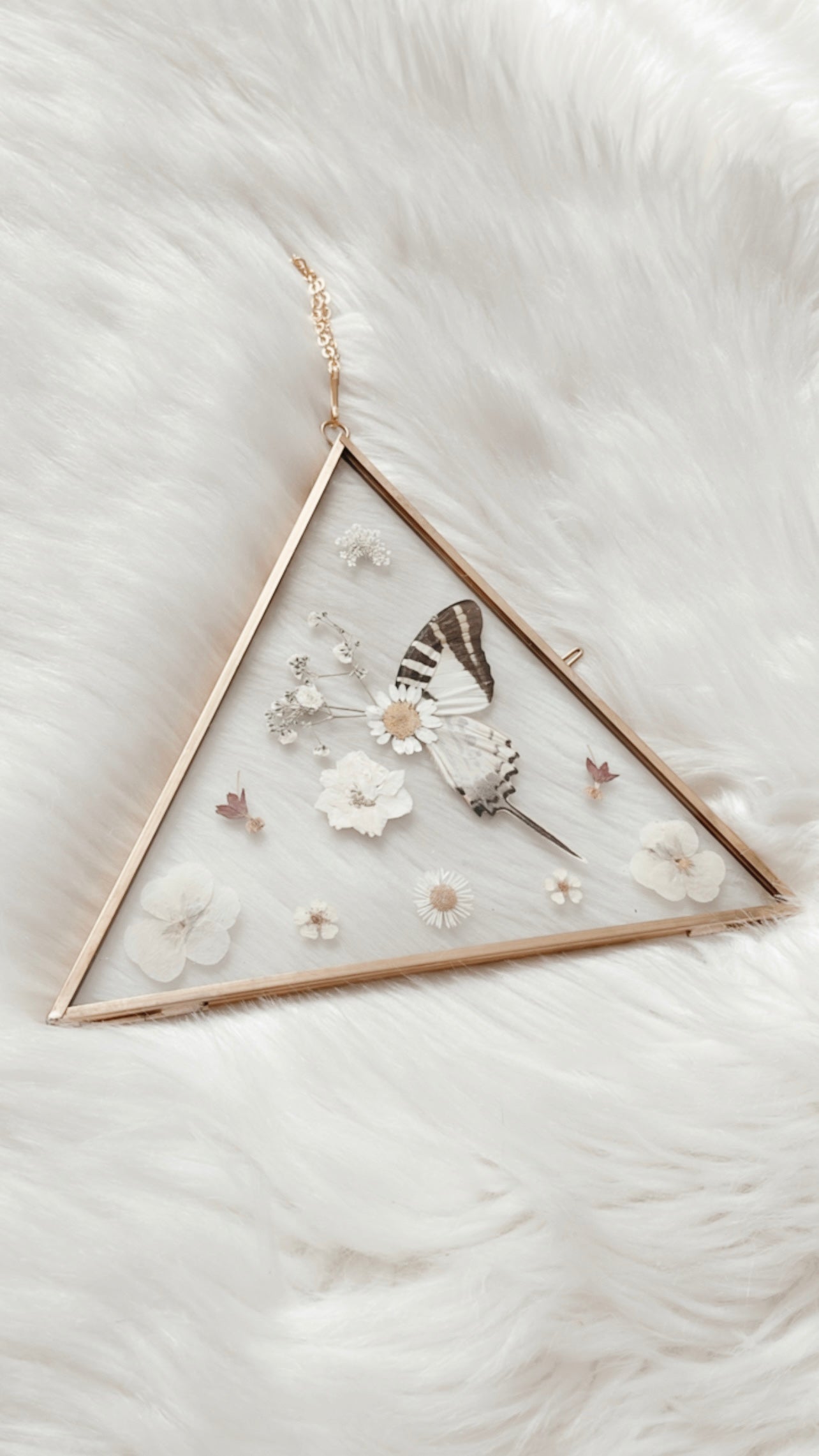 Florence Butterfly Floral Frame <7x8in>