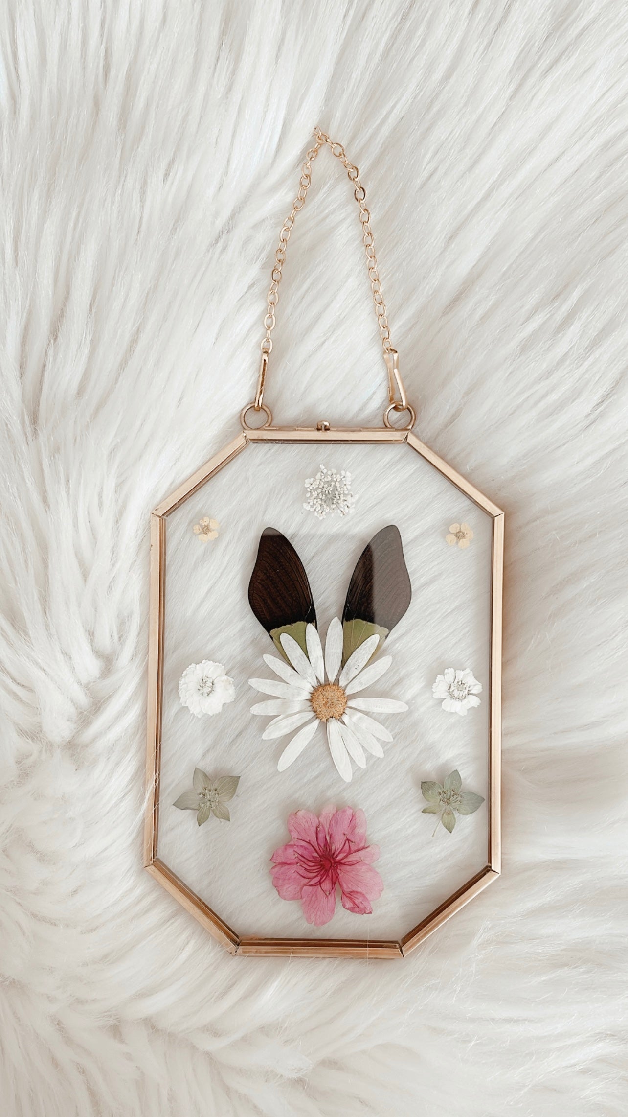 Florence Cicada Floral Frame