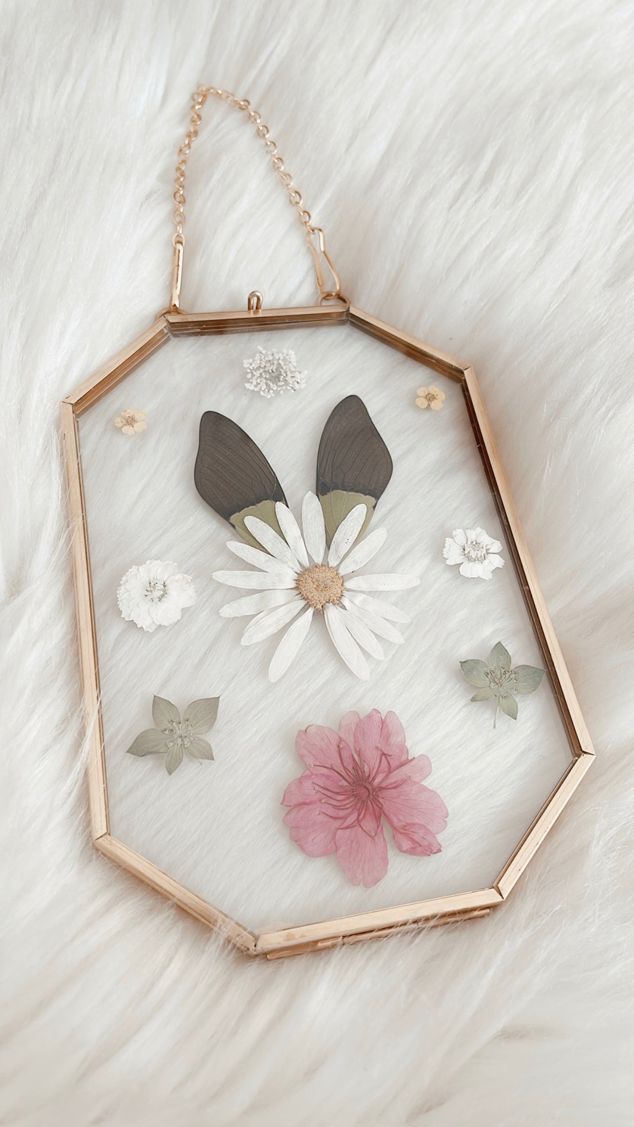 Florence Cicada Floral Frame