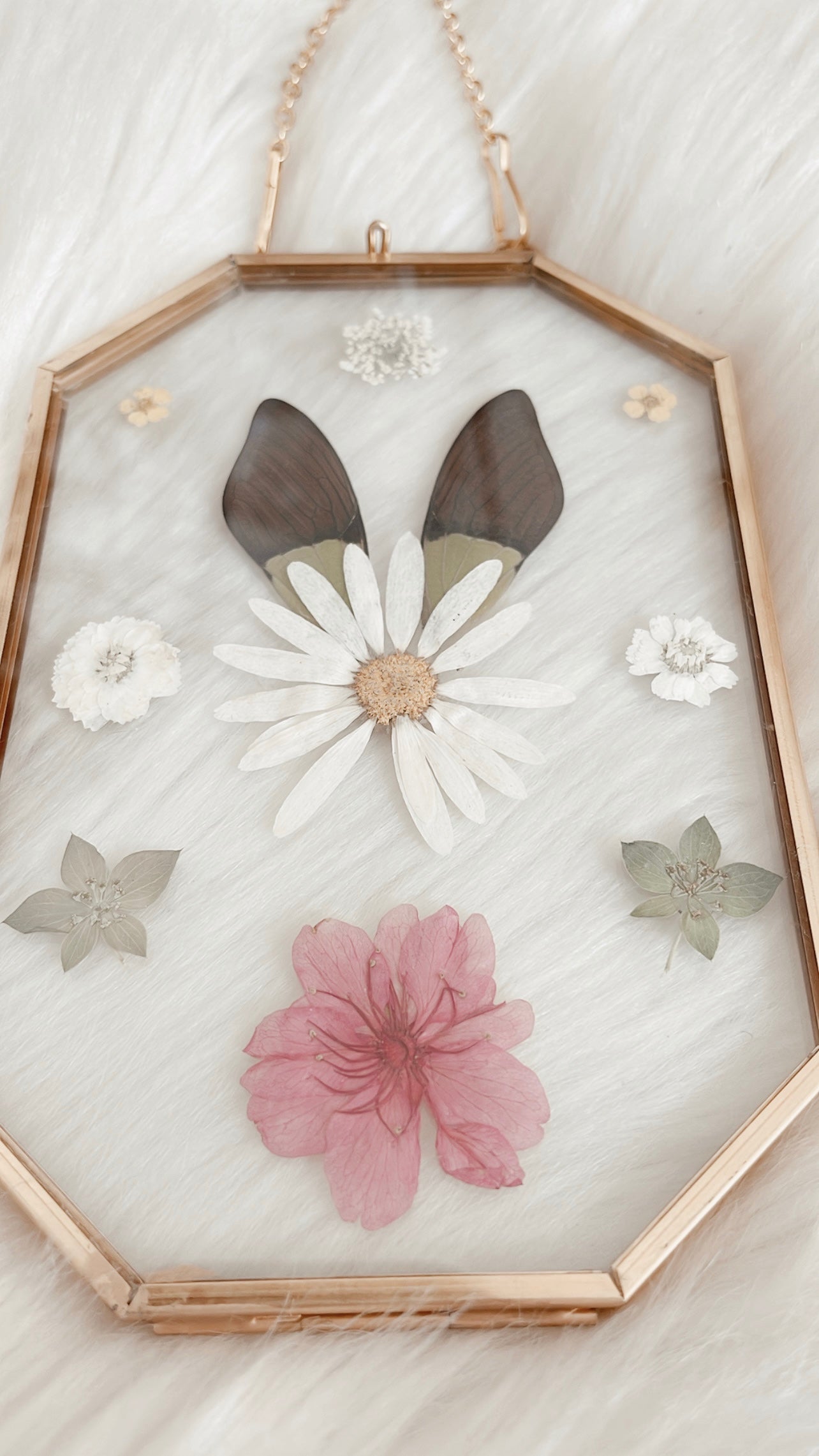 Florence Cicada Floral Frame