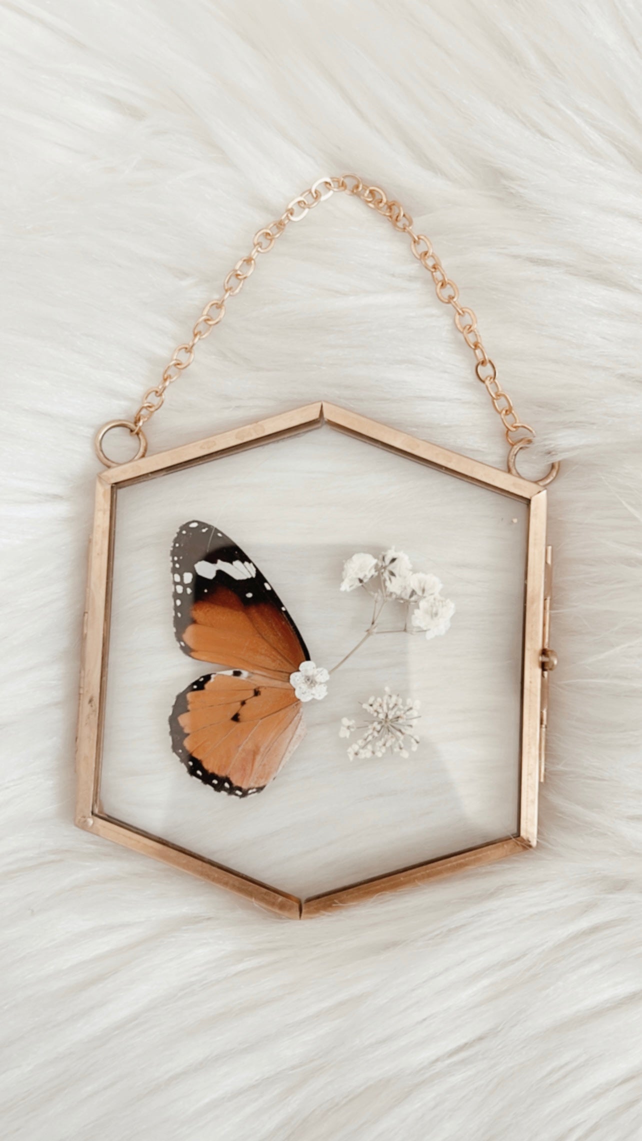 Florence Butterfly Floral Frame