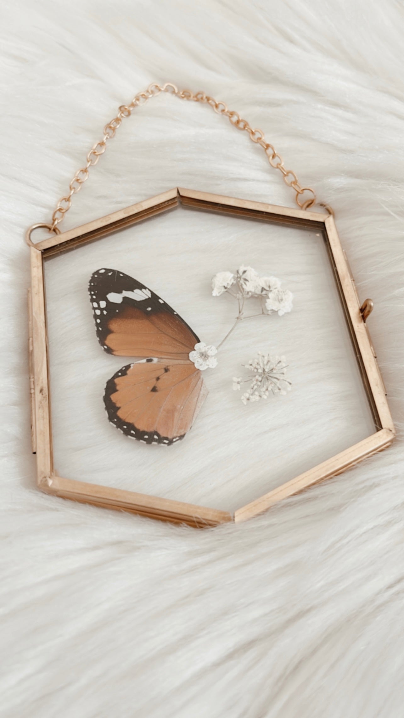 Florence Butterfly Floral Frame