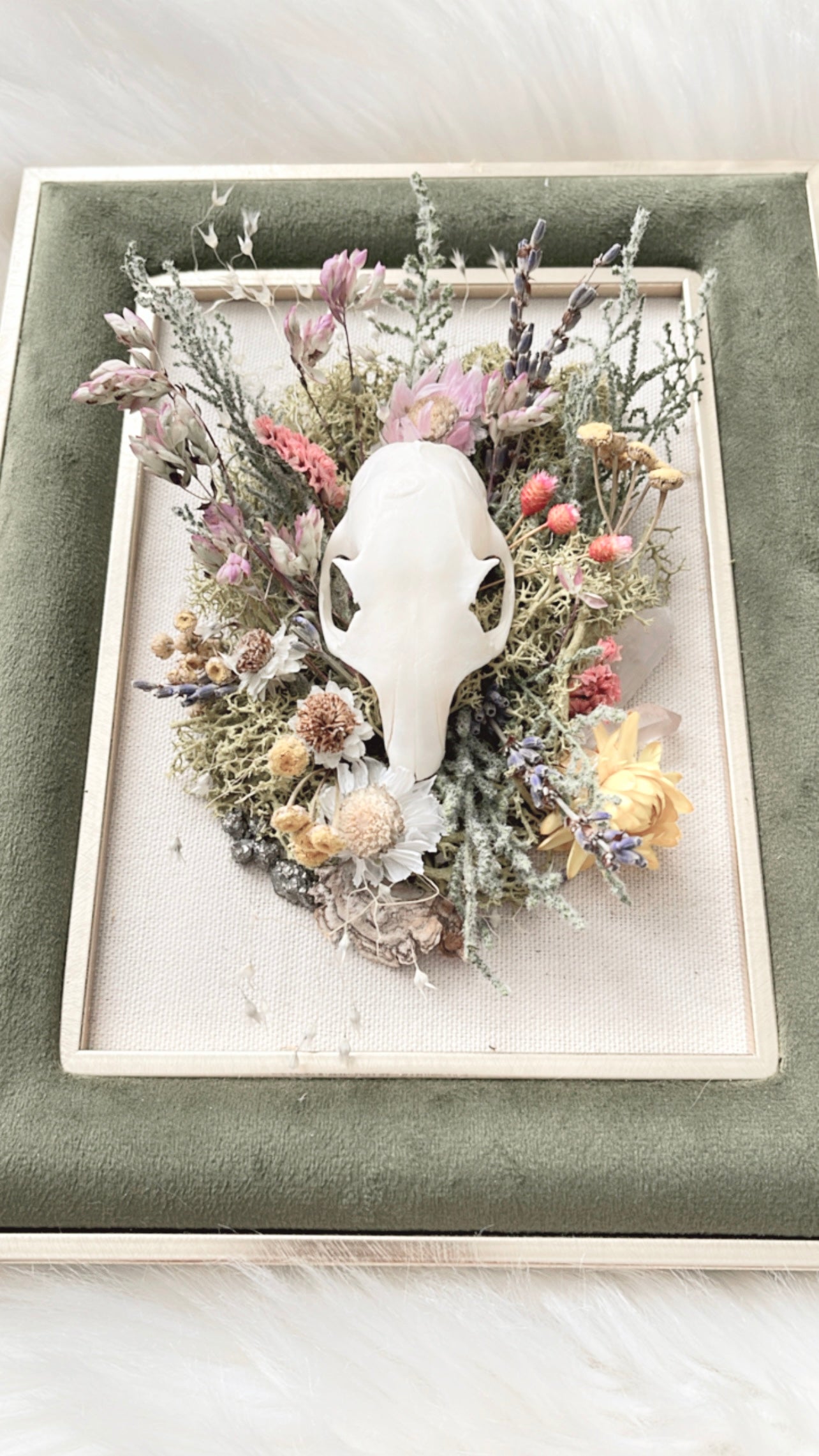 Florence Oddities Frame <Grey Squirrel Skull>
