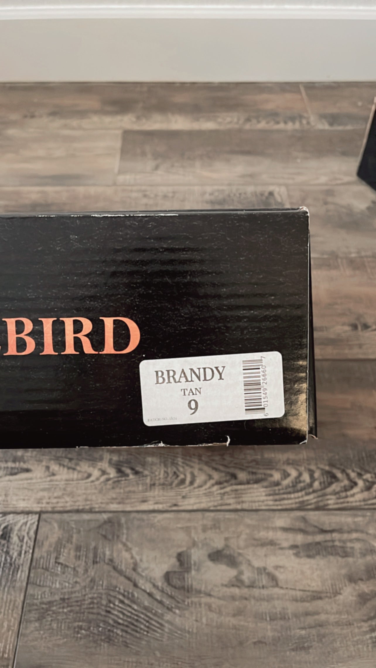 NEW IN BOX Freebird Brandy Booties (SIZE 9)