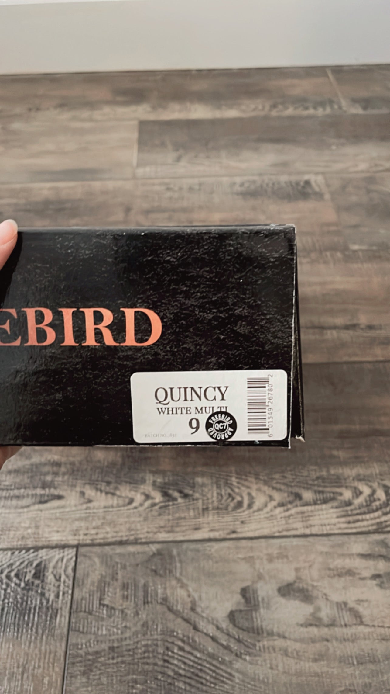 NEW IN BOX Freebird Quincy Sandals (SIZE 9)