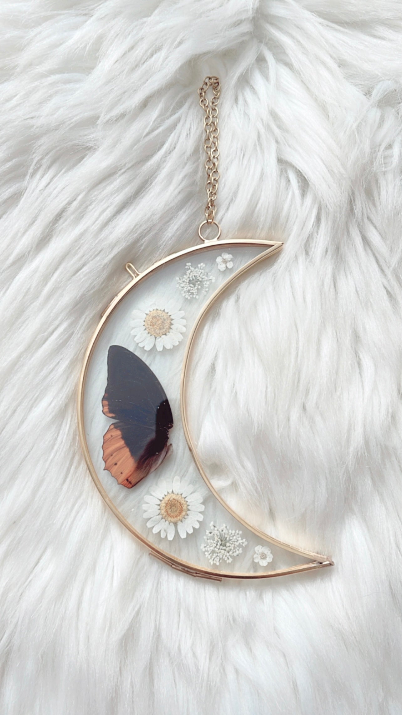Gayle Butterfly Moon Floral Frame