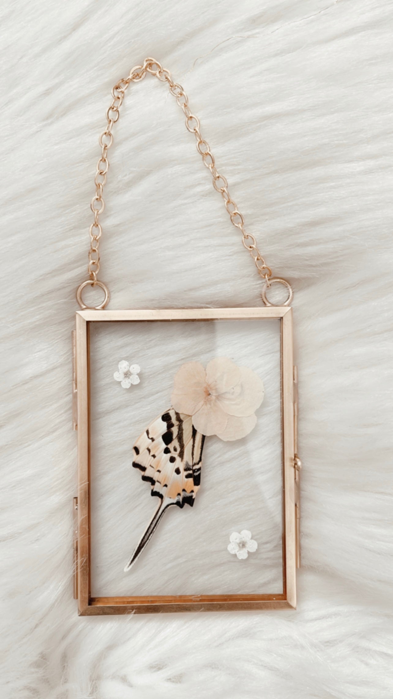 Giselle Butterfly Floral Frame