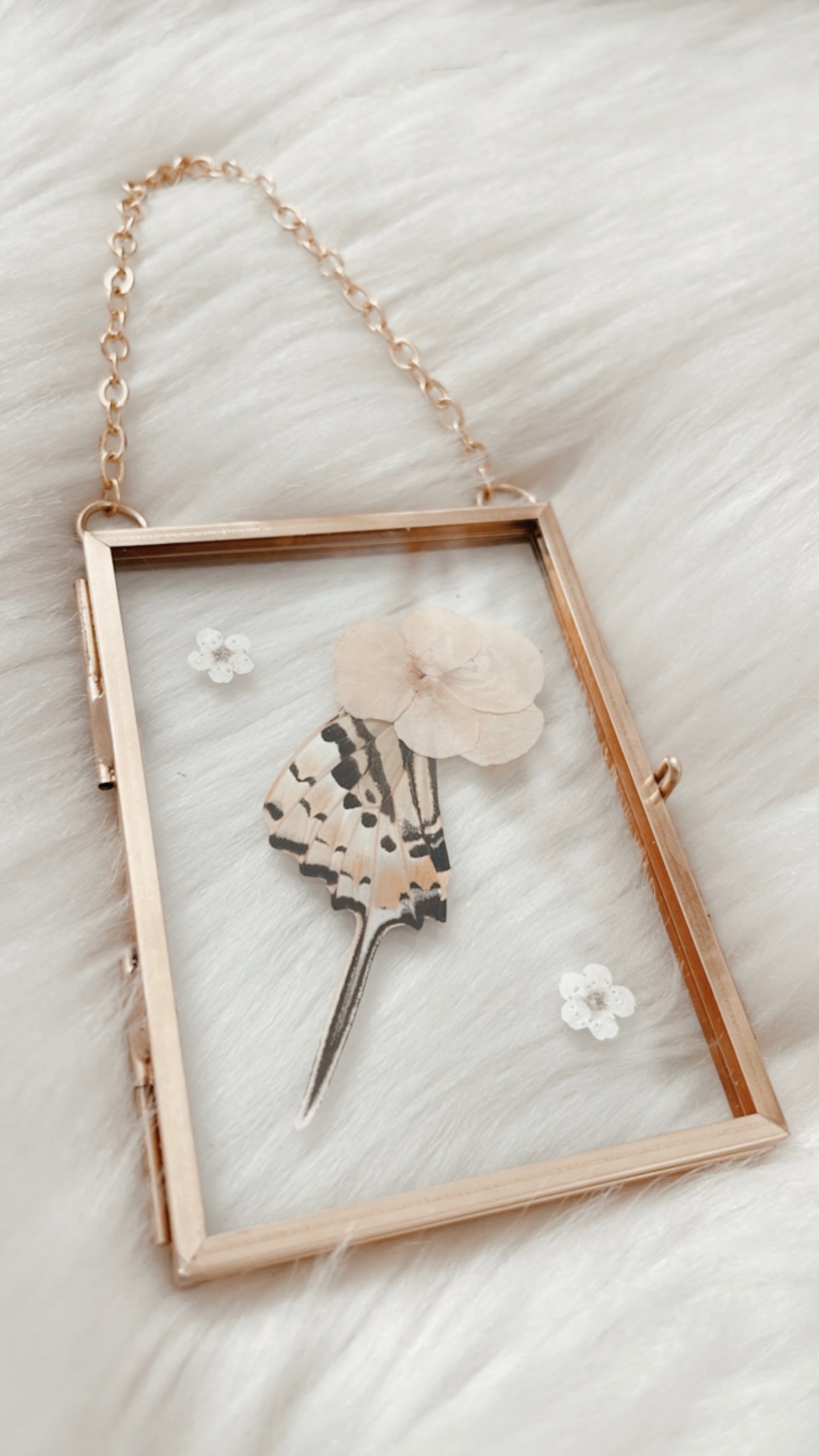 Giselle Butterfly Floral Frame