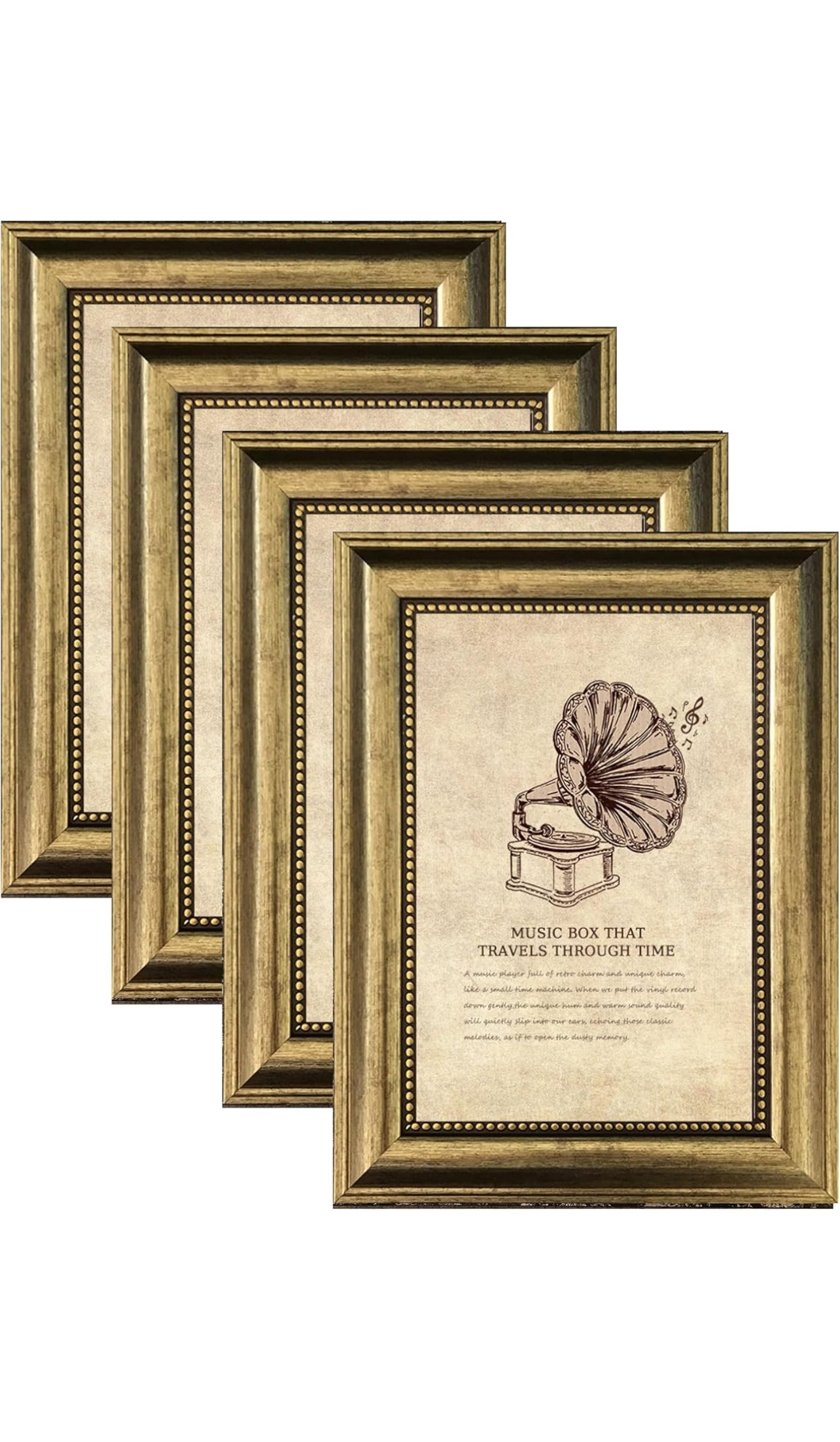 ❋ August 31, 2025 ❋ 11:30a - Coyote Skull Oddities Frame