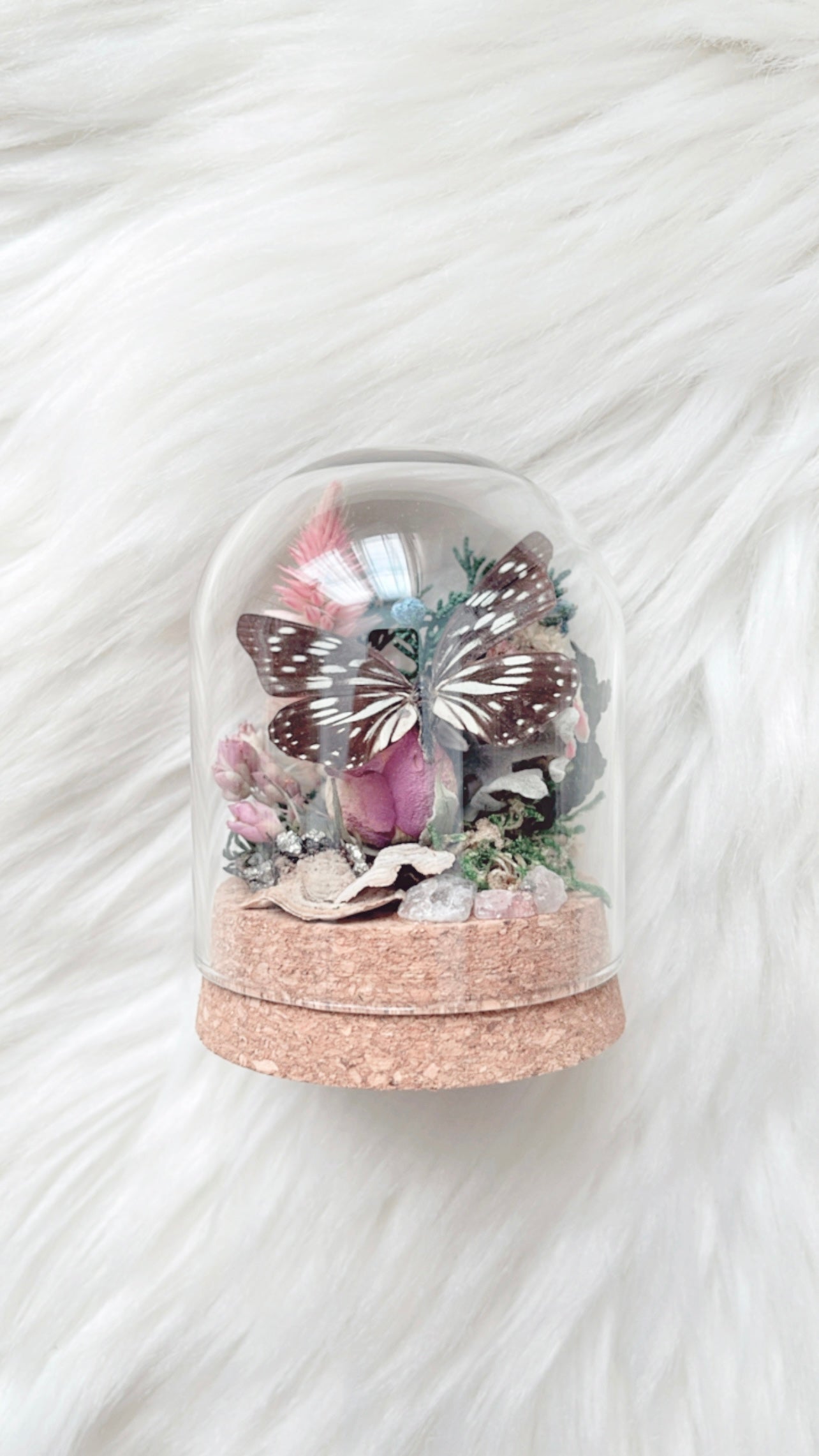 Gwen Terrarium