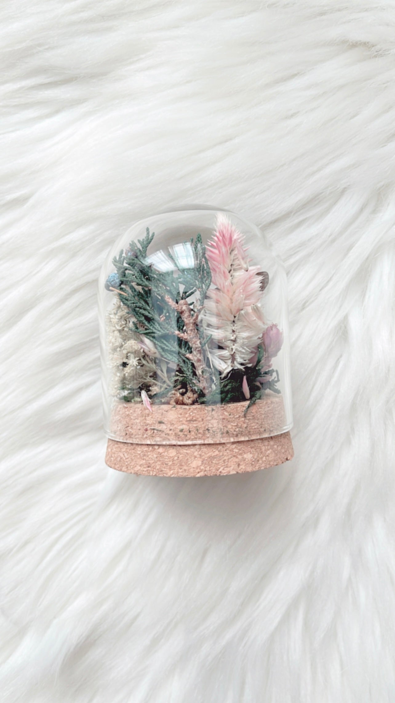 Gwen Terrarium