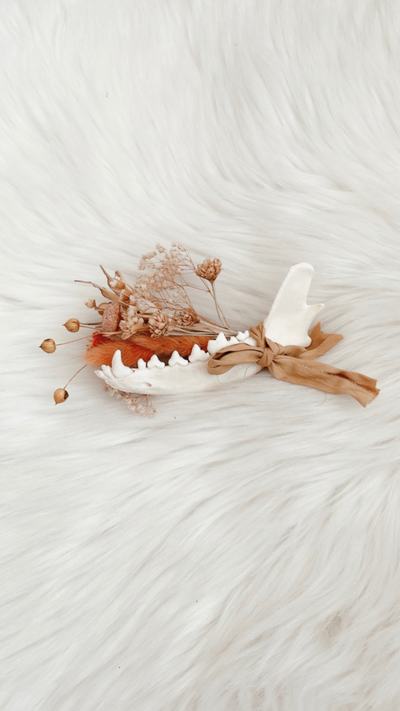 Fox Jaw Floral Arrangement