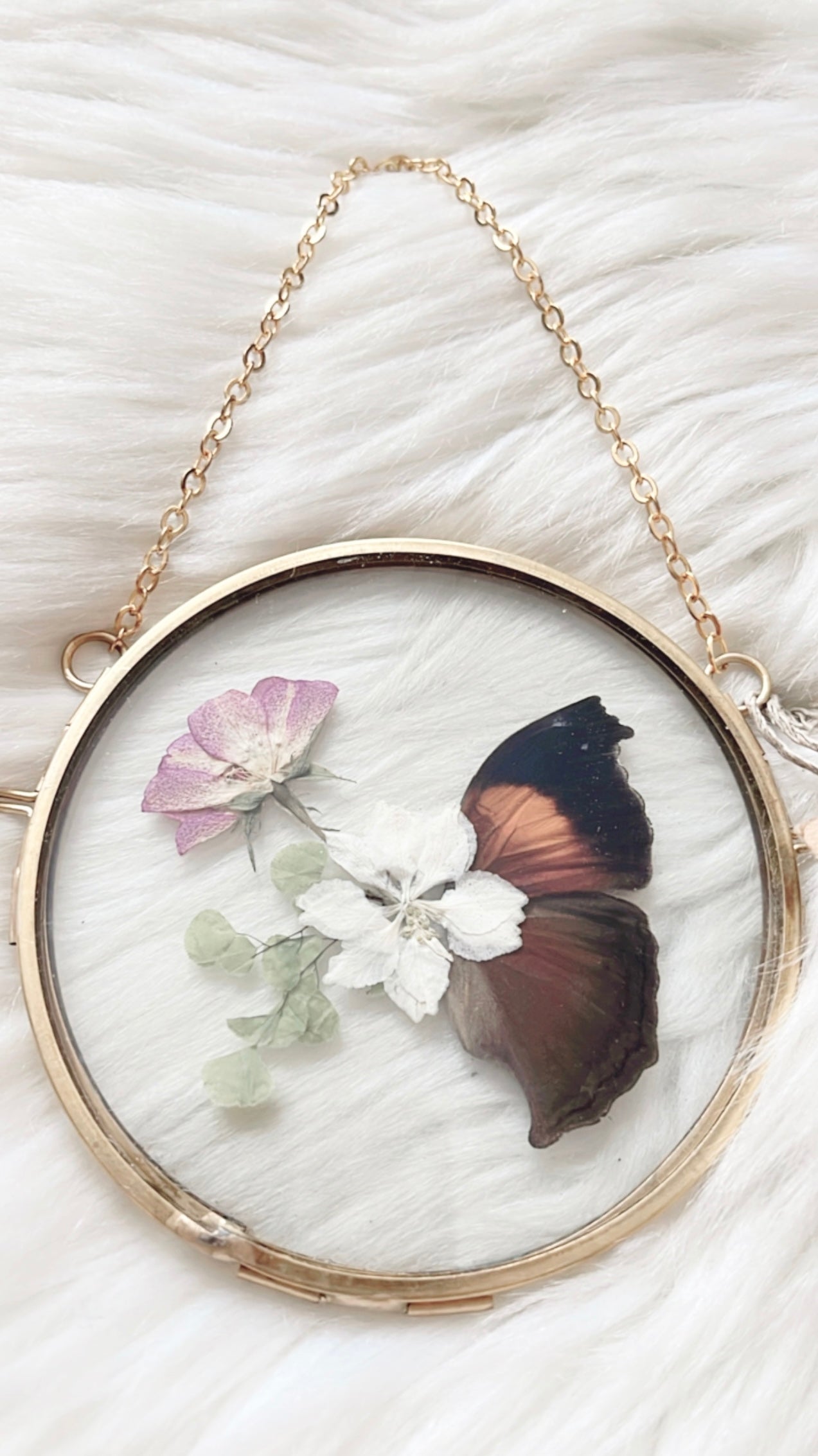 Hailey Butterfly Floral Frame <4in>