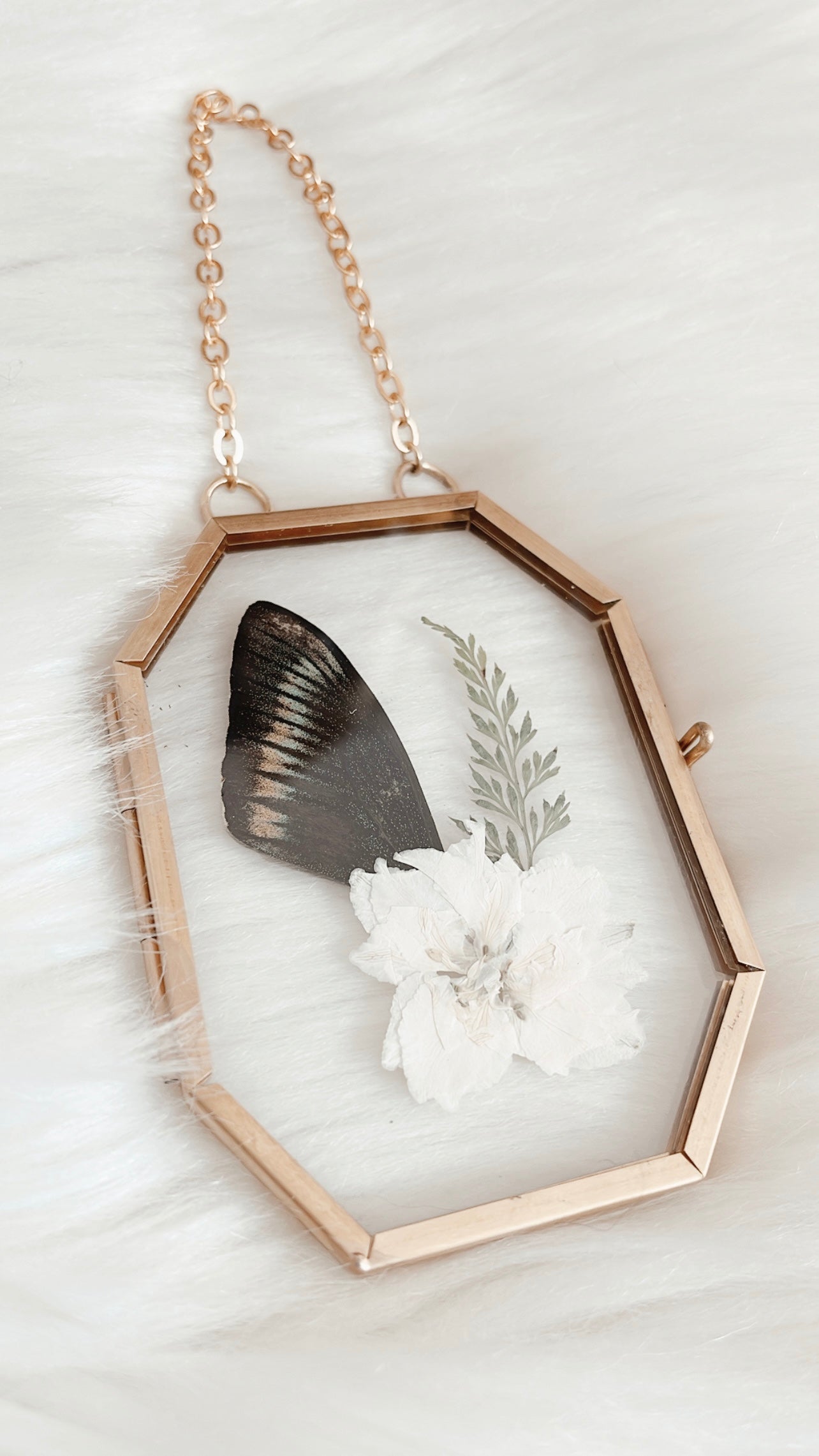 Halsey Butterfly Floral Frame