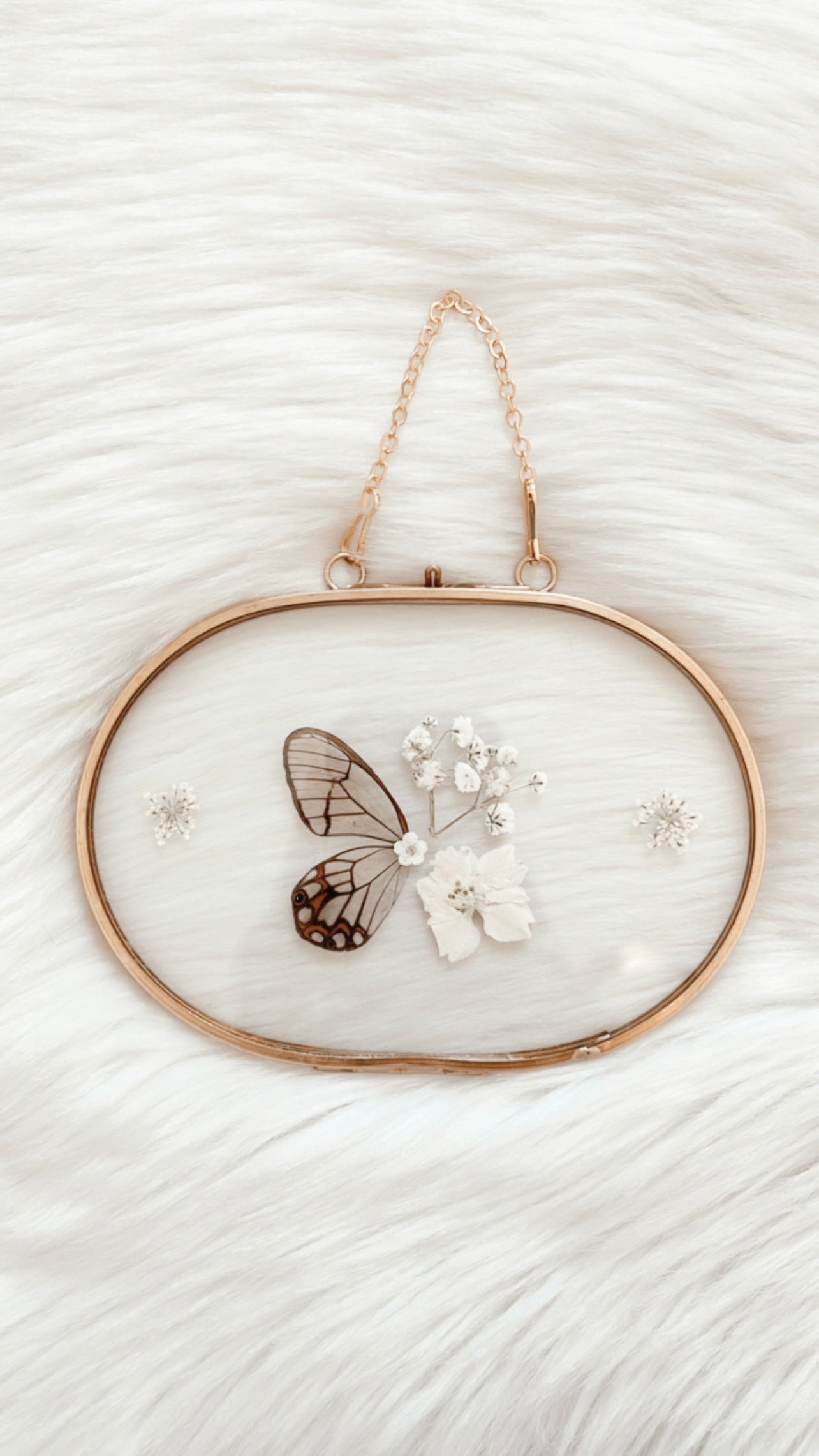 Halsey Butterfly Floral Frame