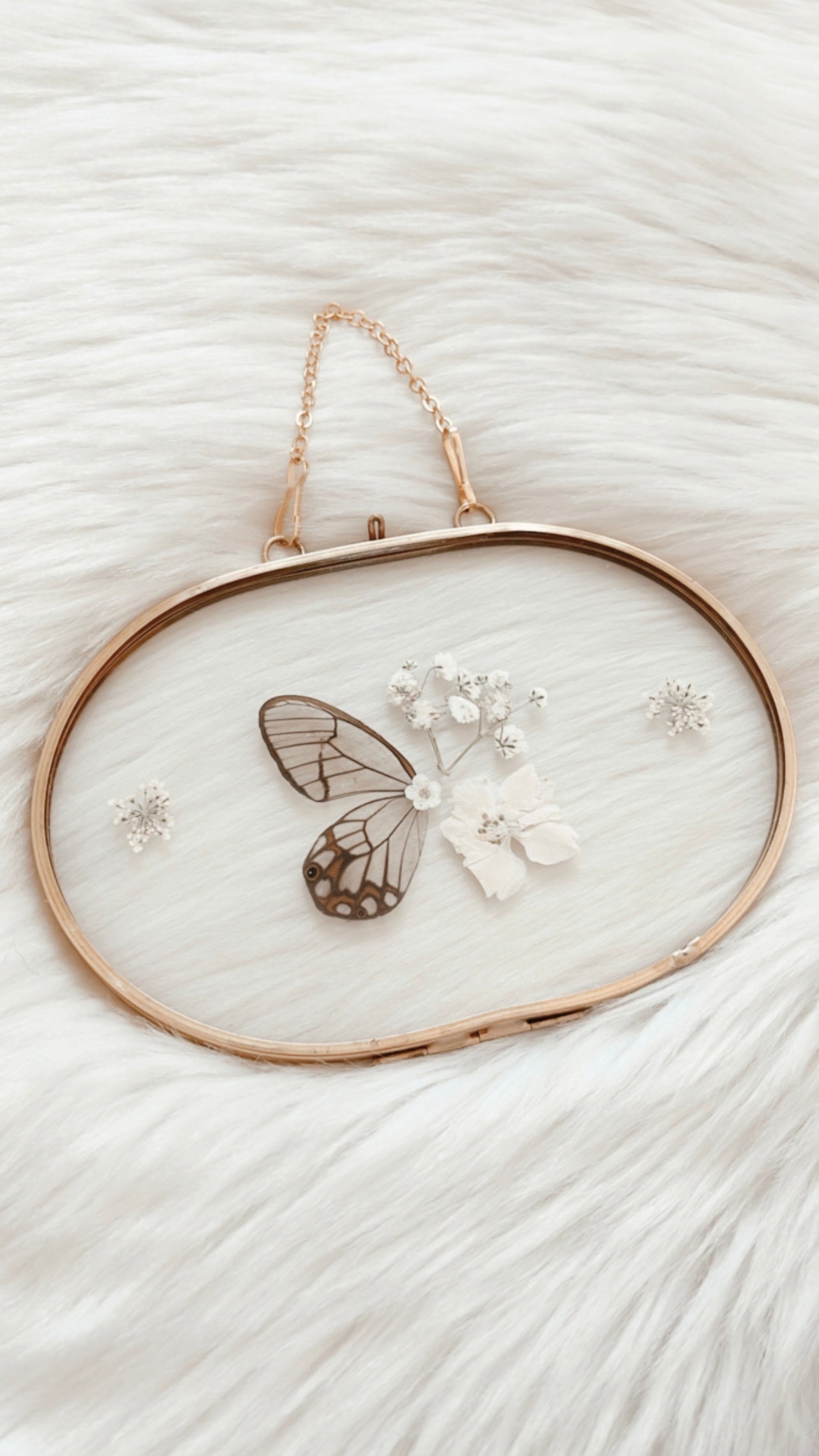 Halsey Butterfly Floral Frame