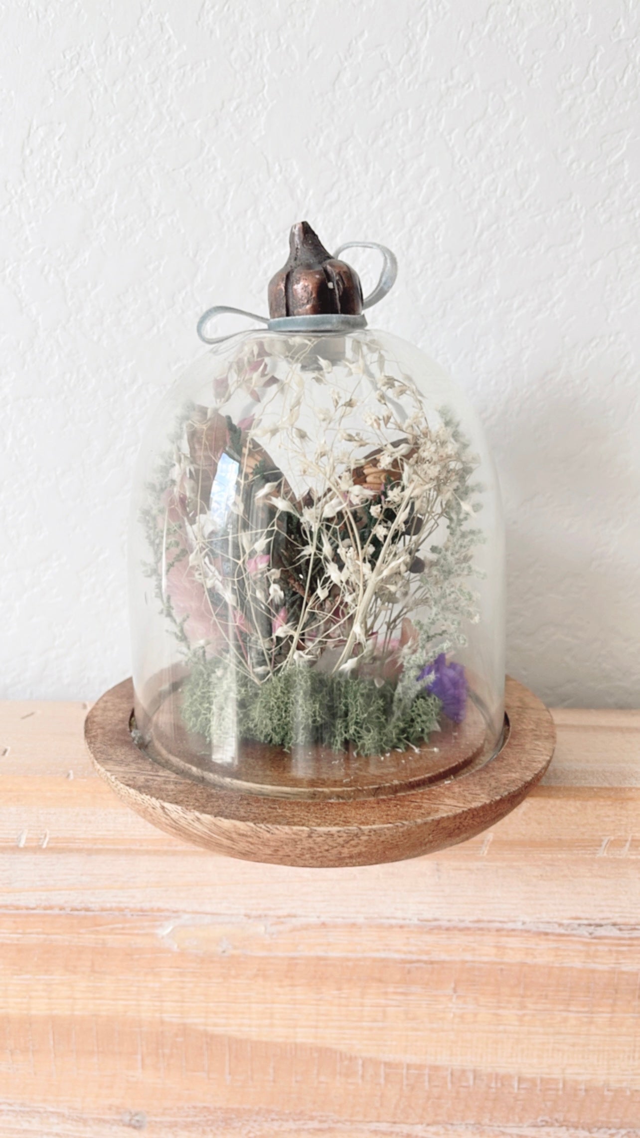 Harlowe Terrarium