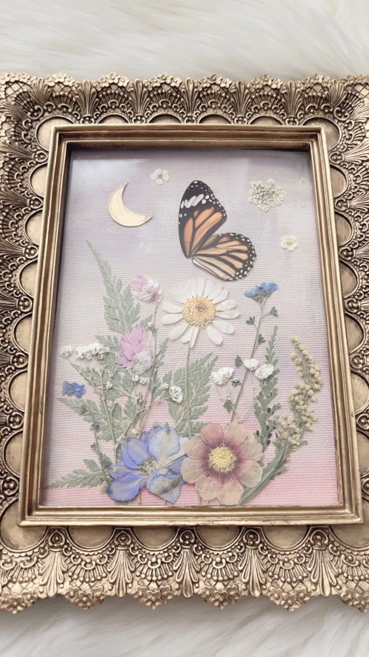 Harmony Butterfly Ornate Frame <7.5x9.5in>