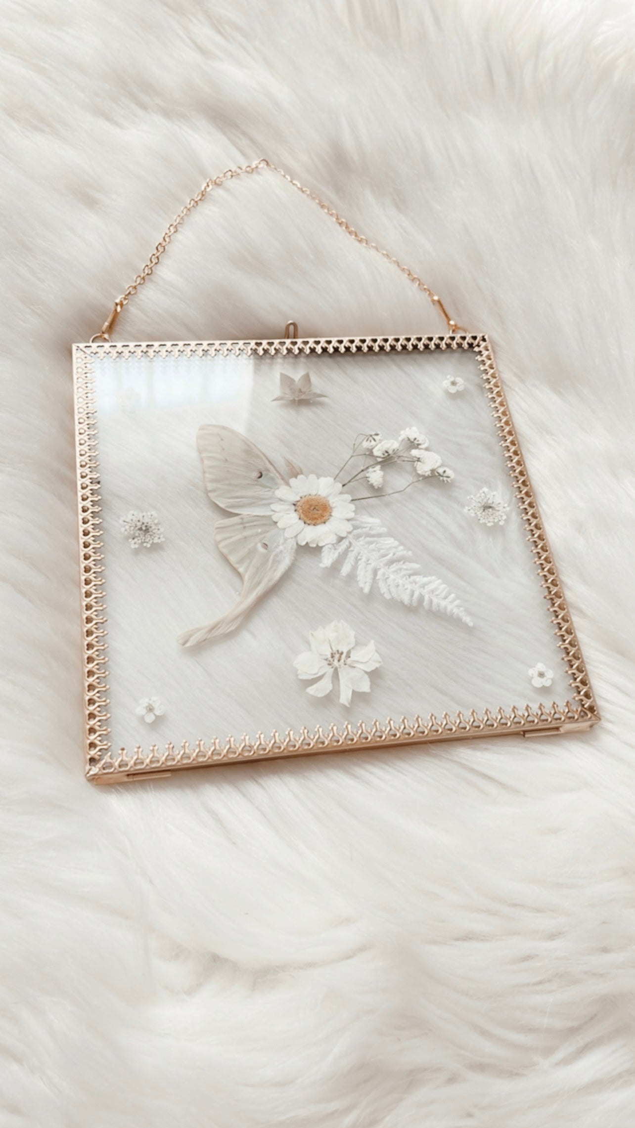 Harper Luna Moth Floral Frame <6.5x6.5in>