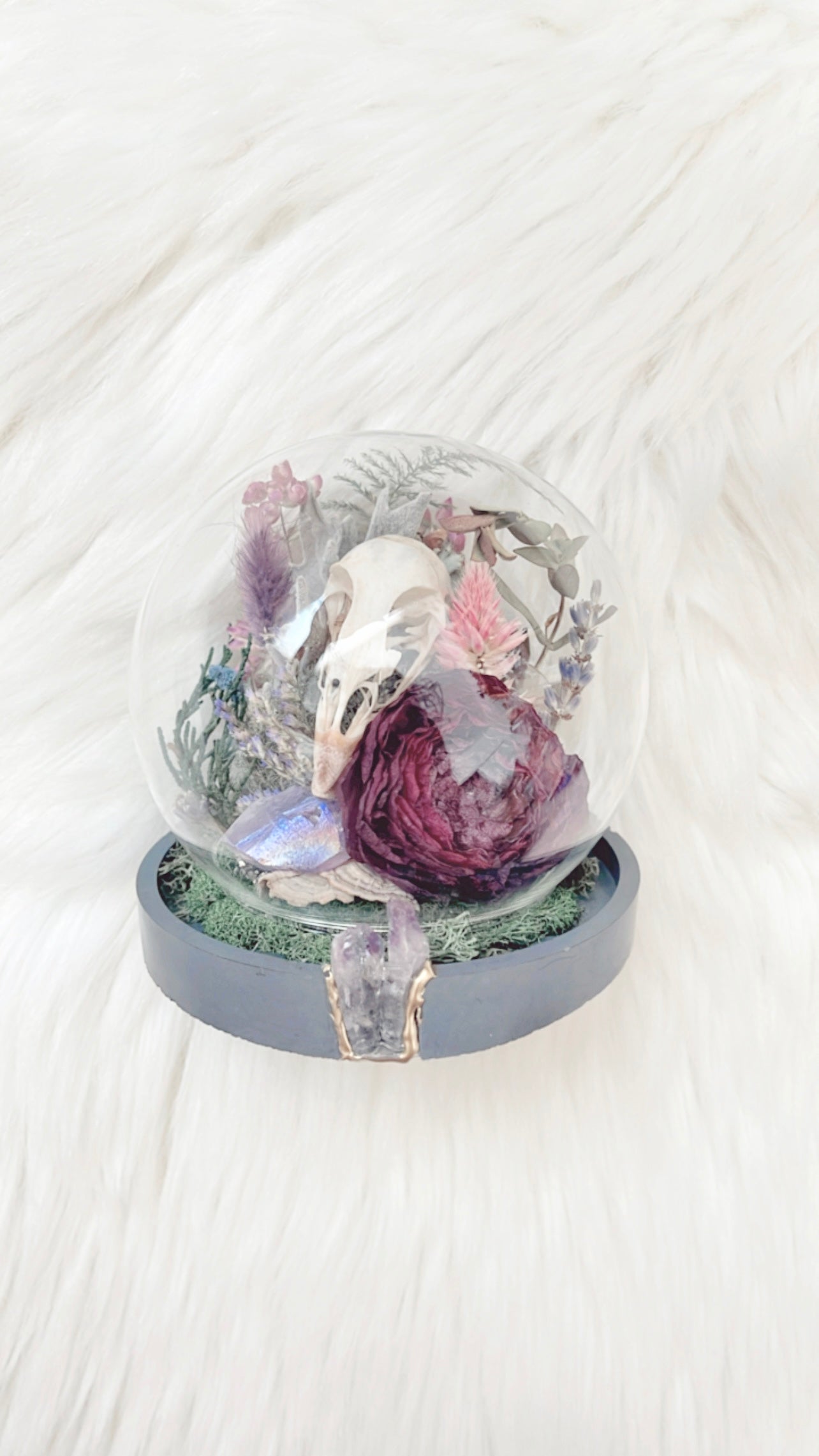 Harper Terrarium