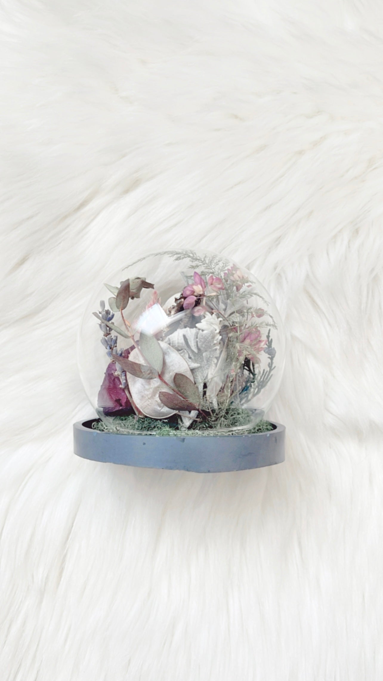 Harper Terrarium