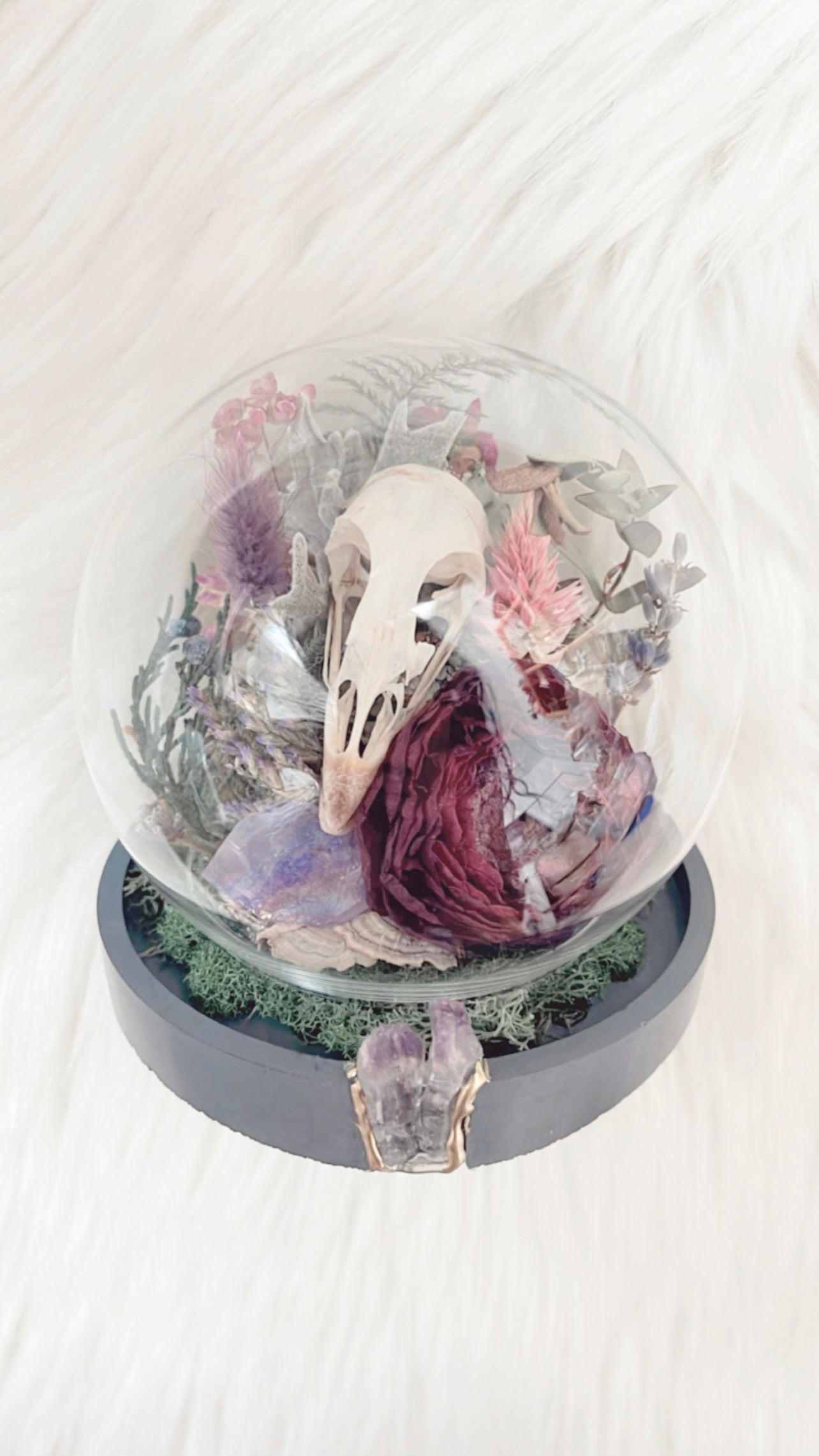 Harper Terrarium
