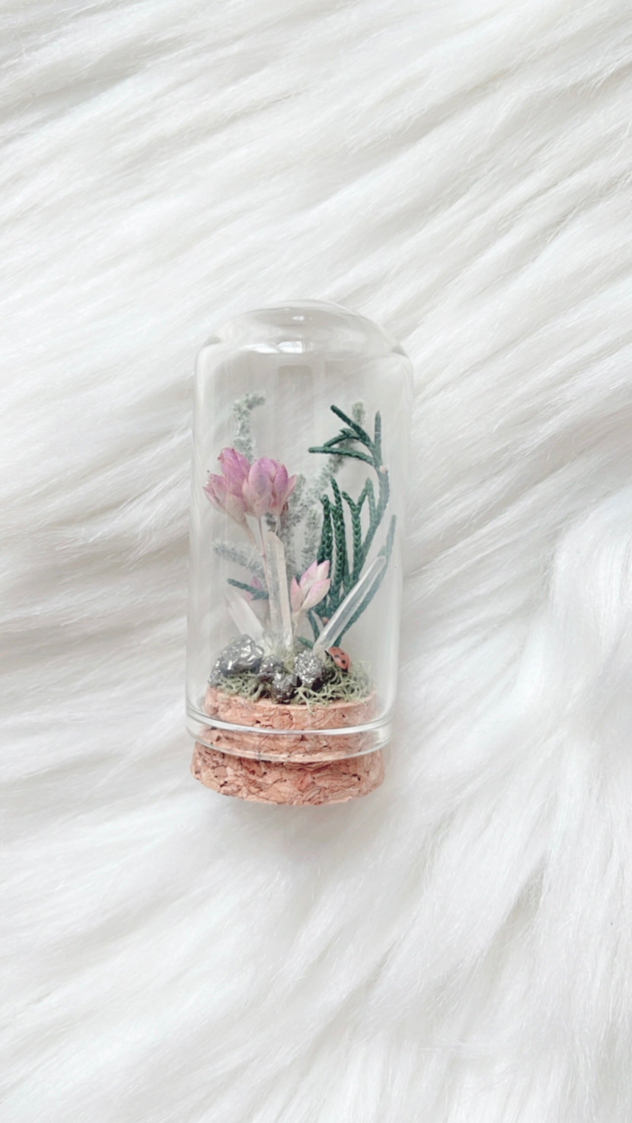 Hattie Terrarium
