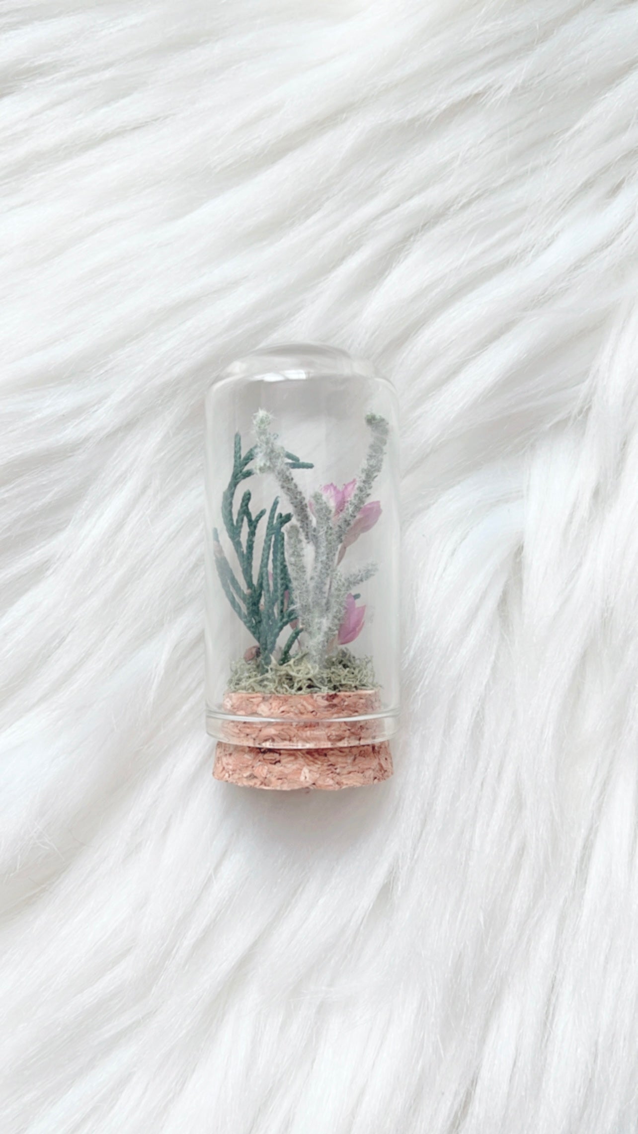 Hattie Terrarium
