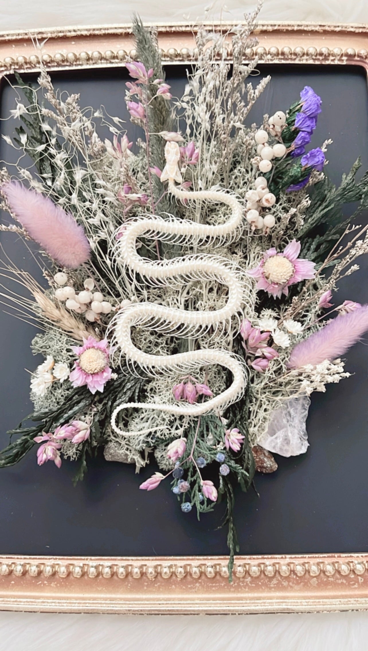 Haven Oddities Frame <Snake Skelly>