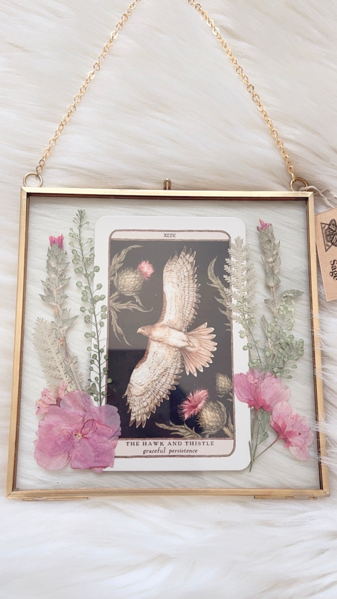 The Hawk and Thistle Oracle Floral Frame