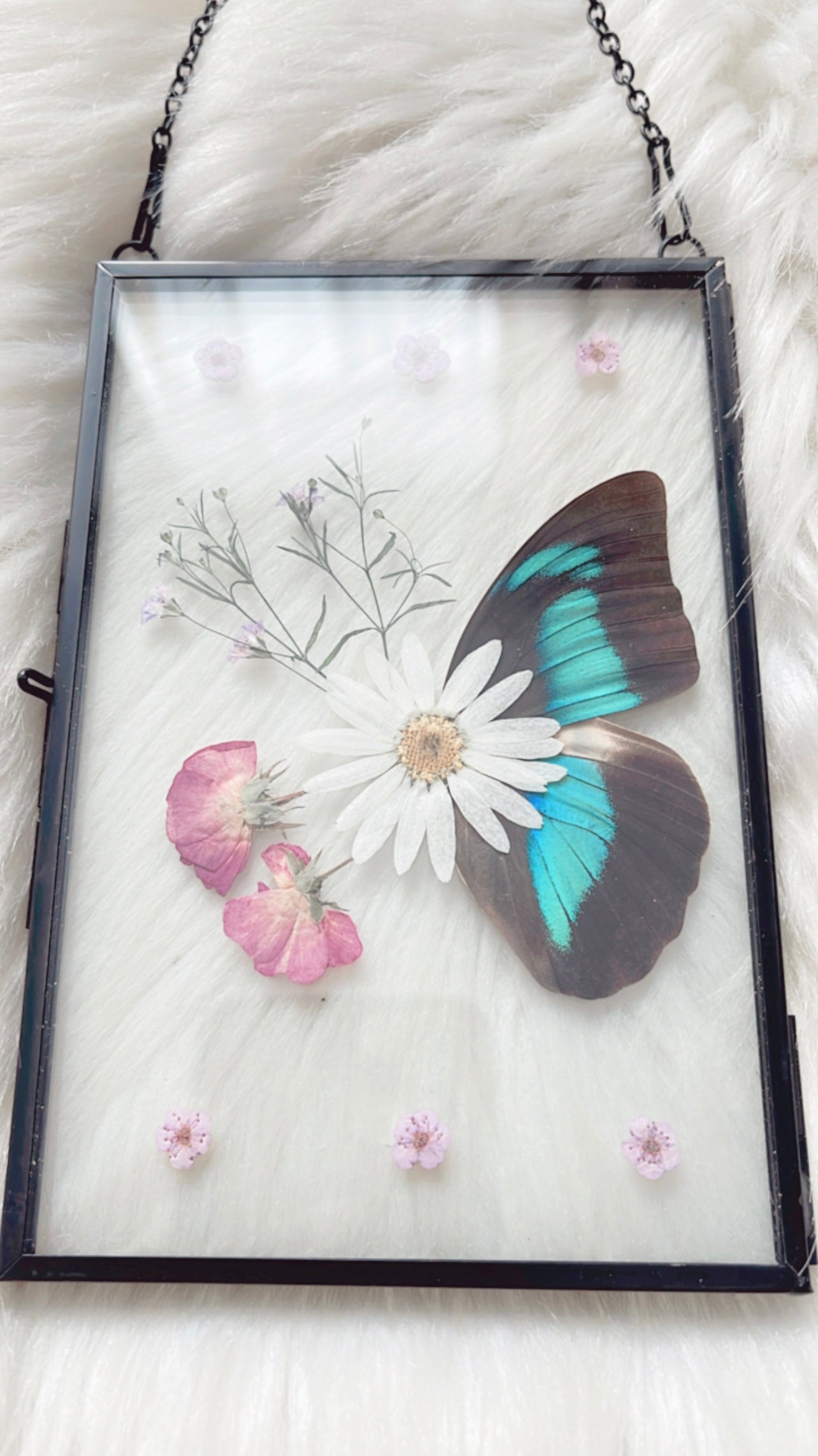 Henrietta Butterfly Floral Frame