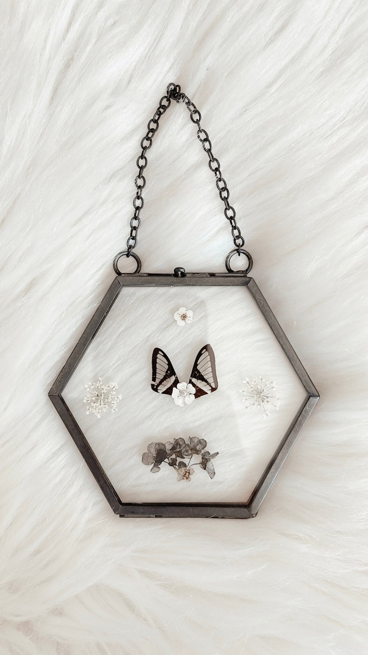 Indigo Cicada Floral Frame