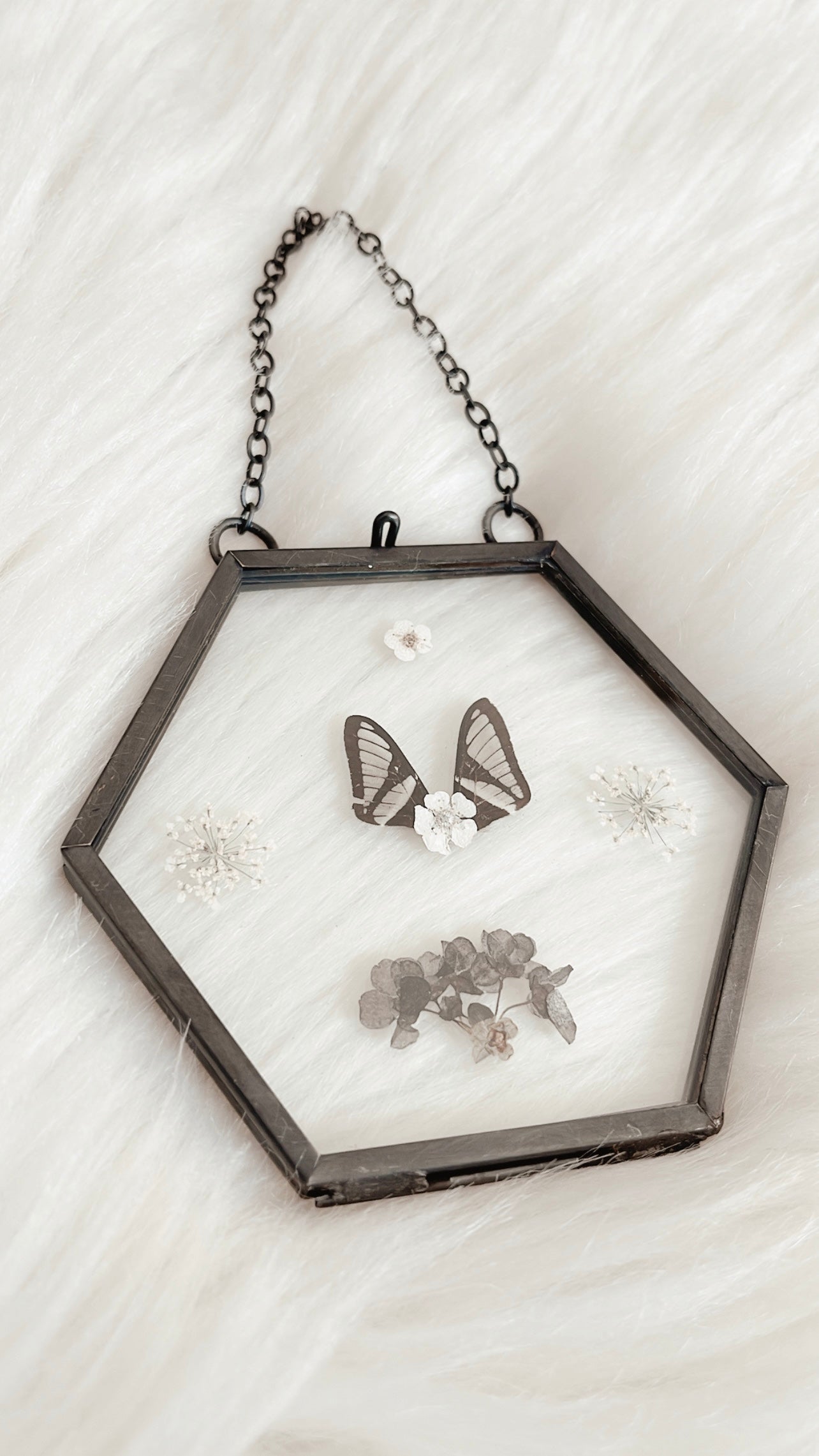 Indigo Cicada Floral Frame