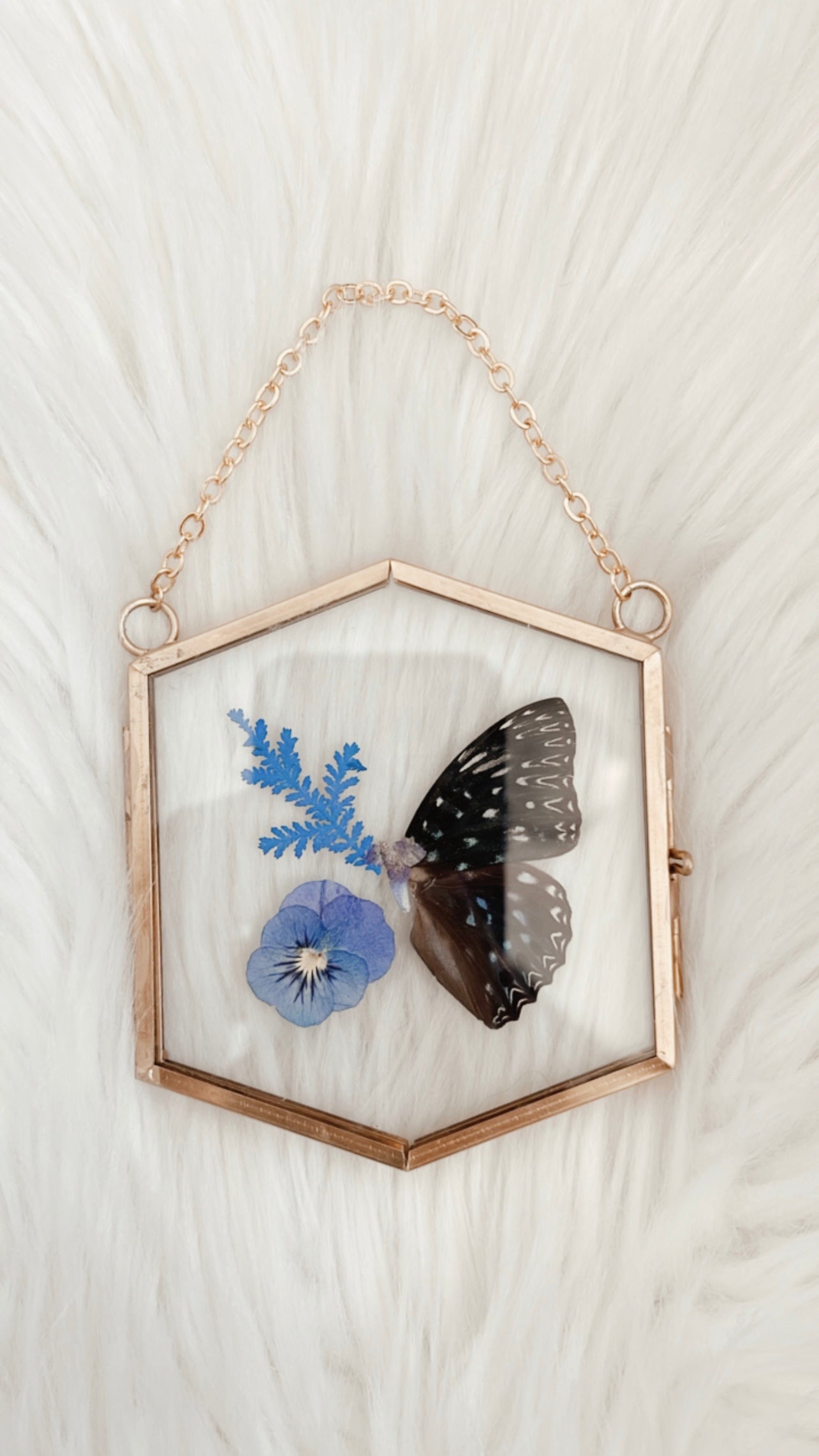 Indigo Butterfly Floral Frame