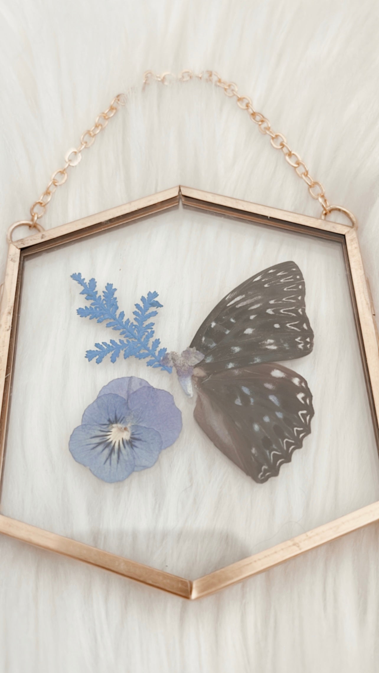 Indigo Butterfly Floral Frame