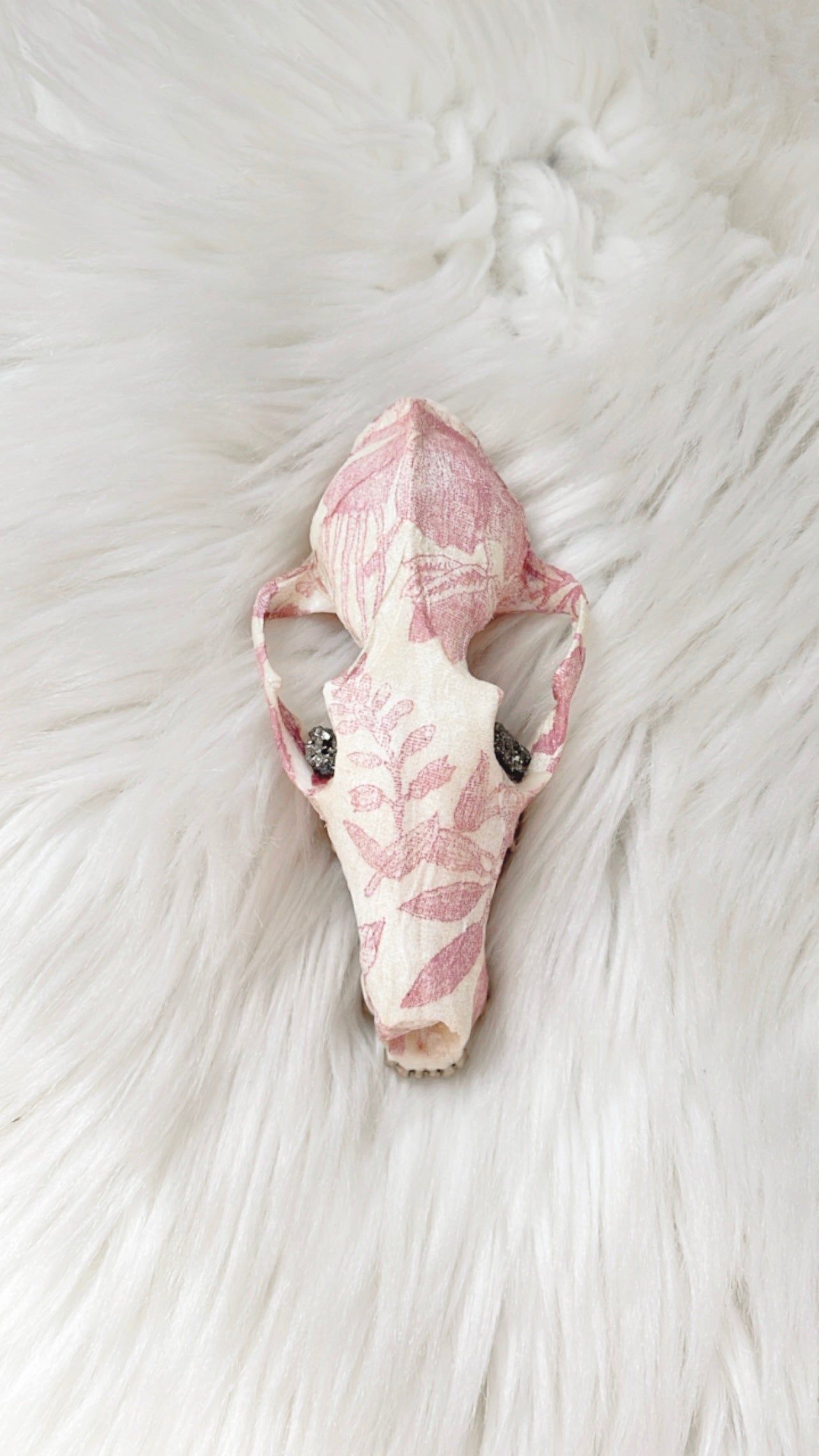 Iris Fox Skull