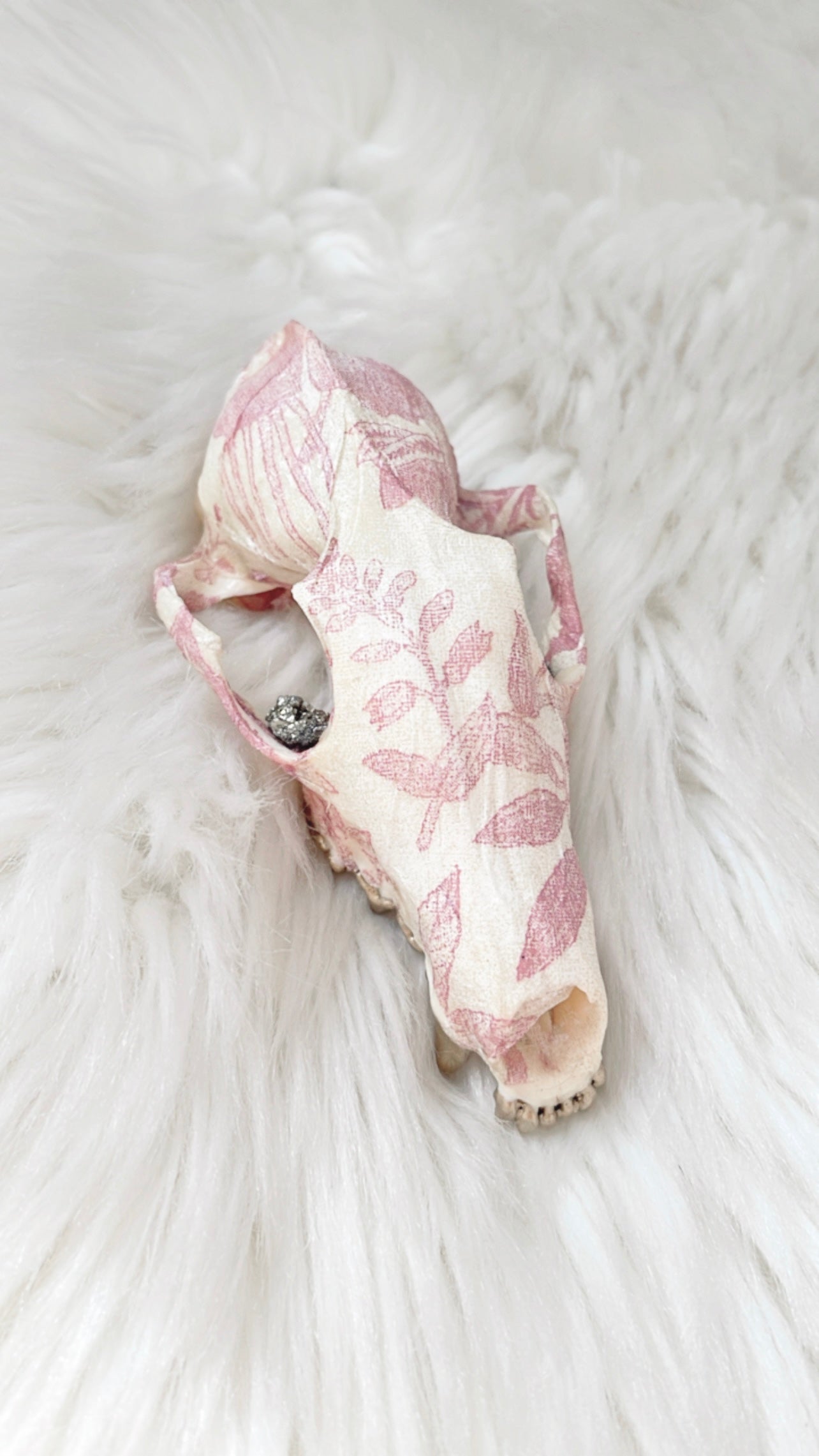 Iris Fox Skull