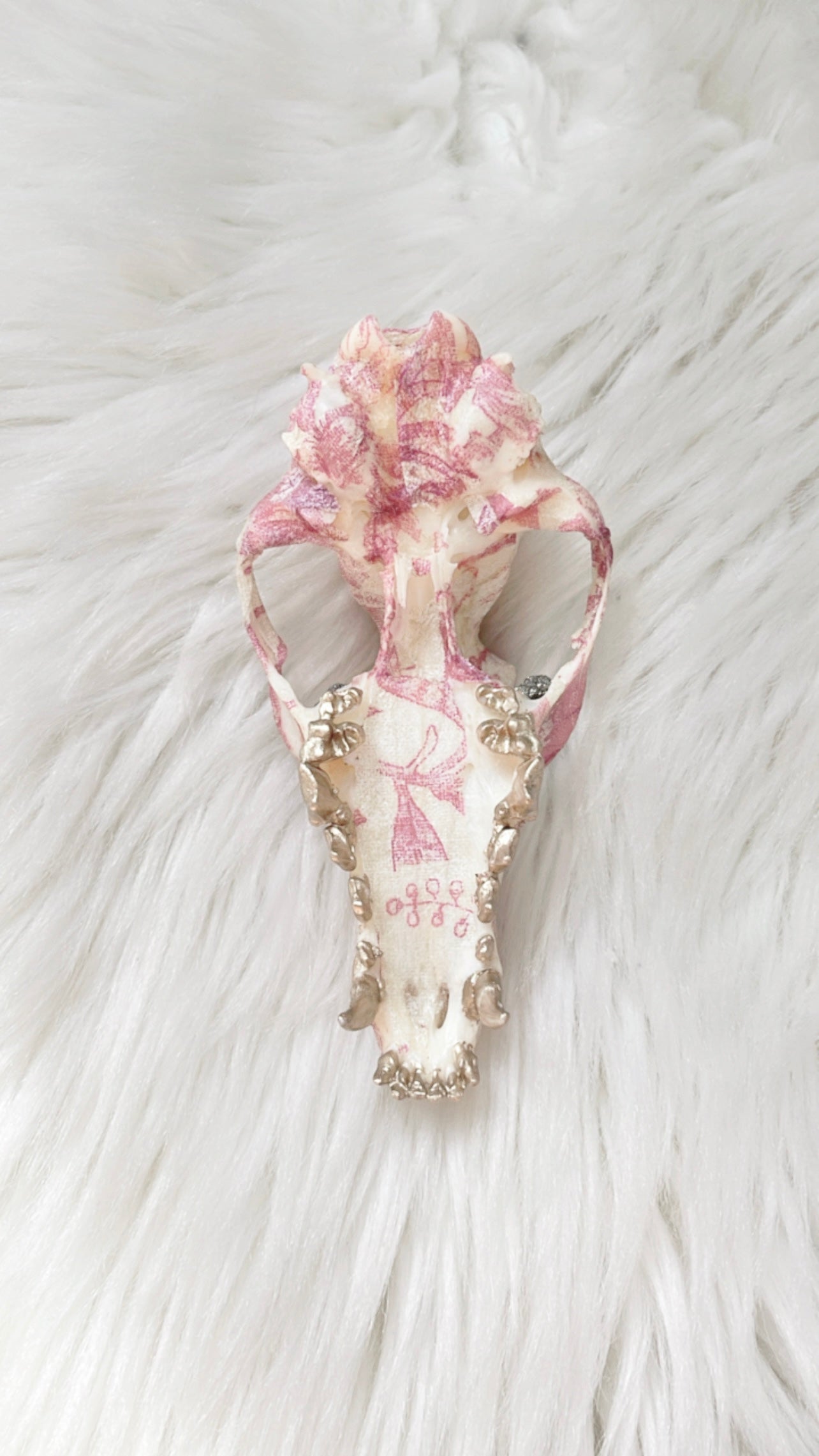 Iris Fox Skull