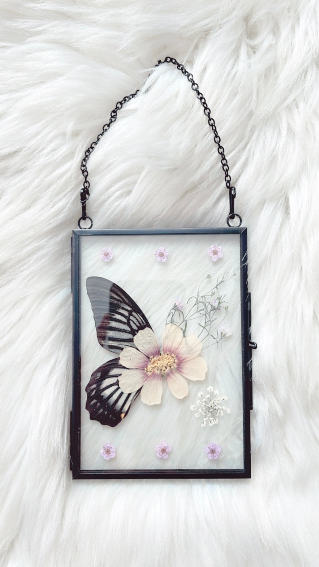 Isla Butterfly Floral Frame